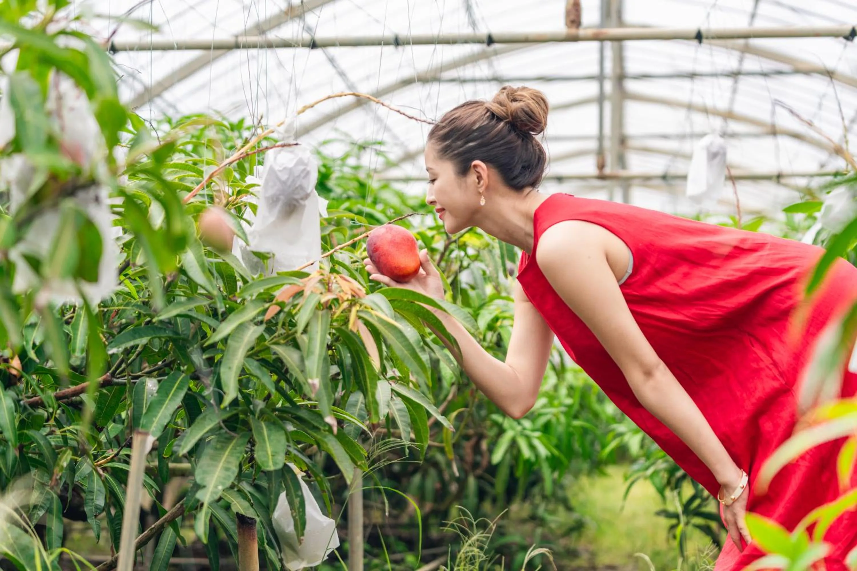 Nearby landmark in Palm Springs Miyakojima Resort