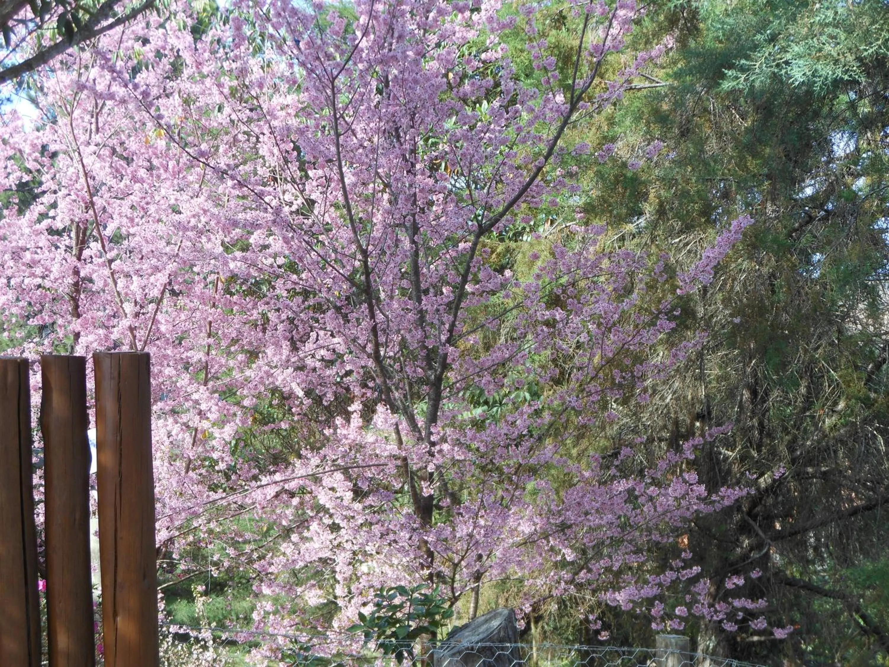 Natural landscape in Pouso Mantiqueira