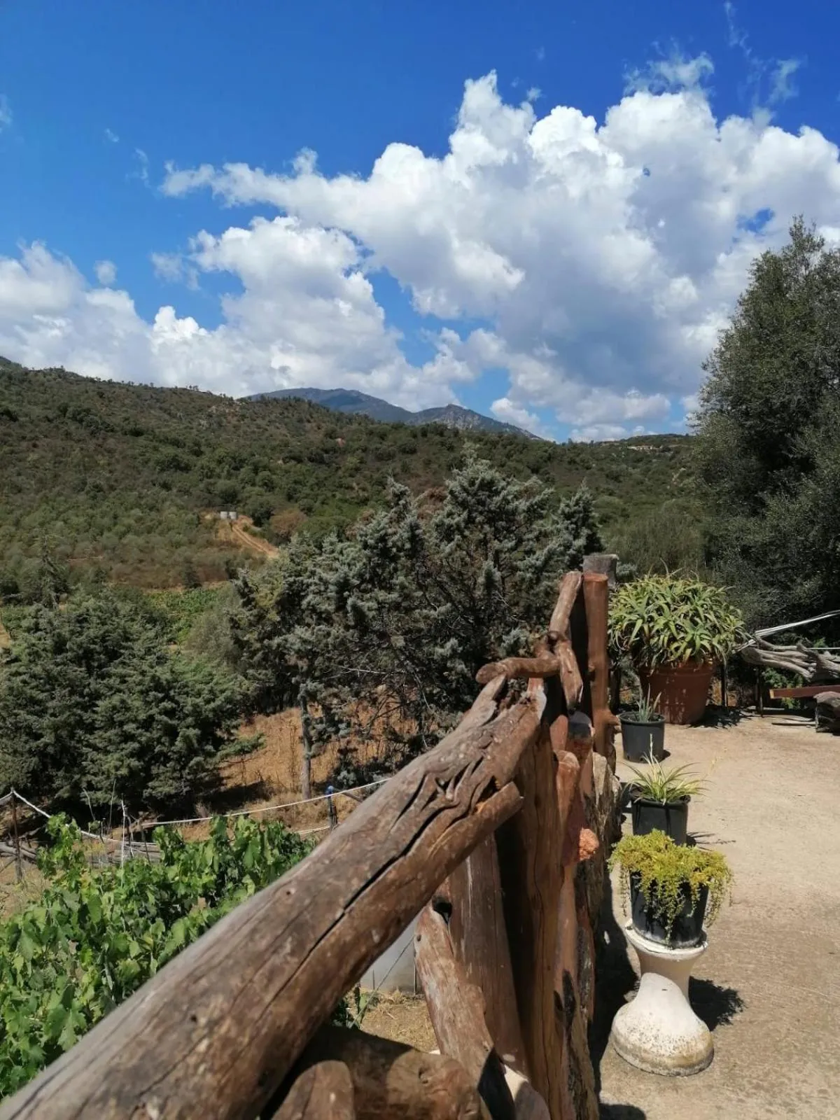 Sa cronta affitacamere