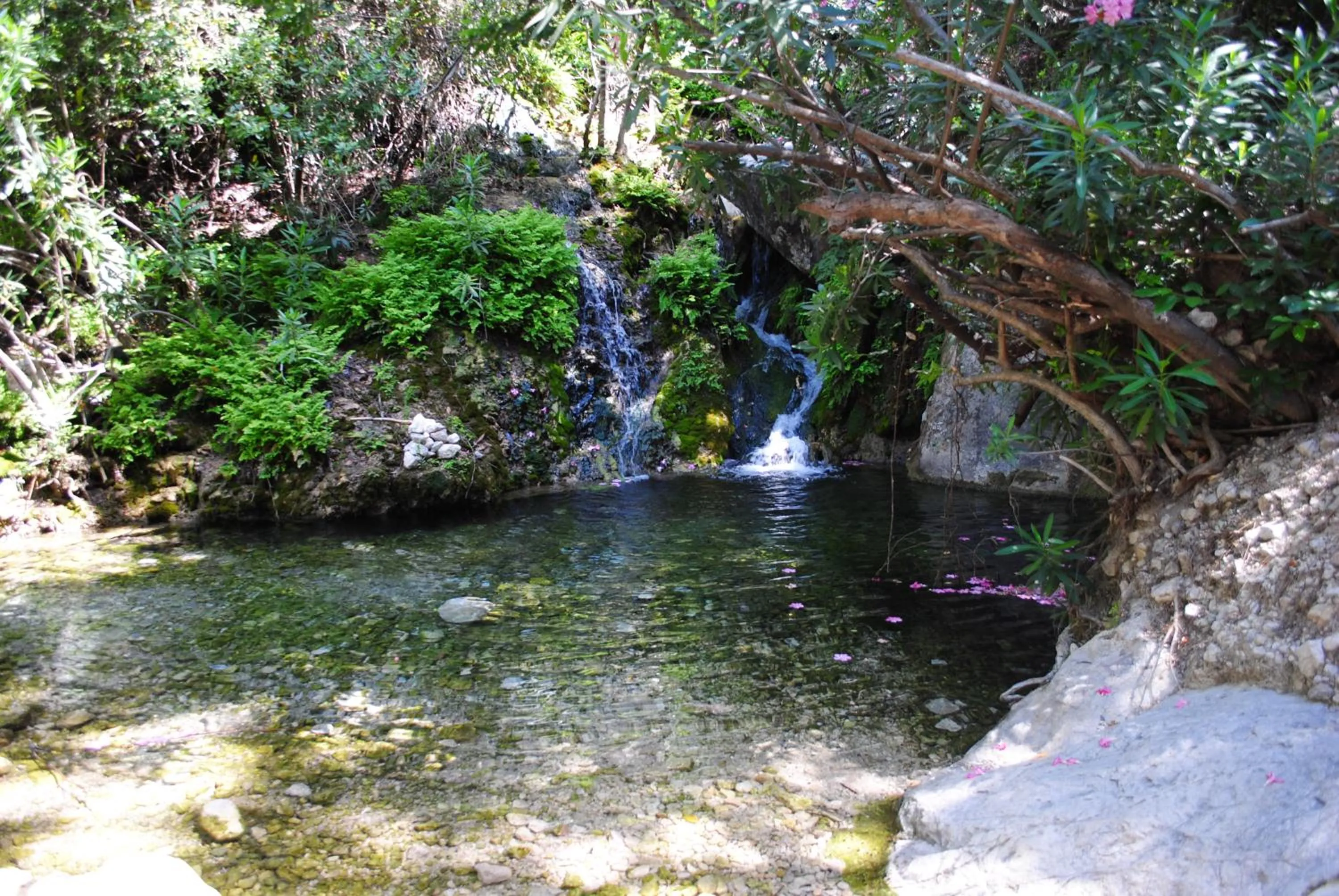 Natural landscape in Kabak Avalon Bungalows