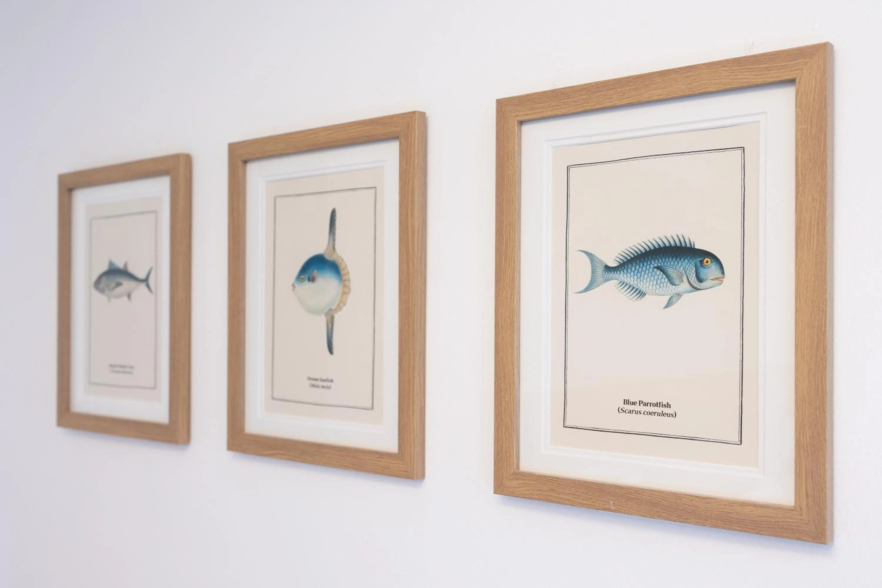 Decorative detail in The Resolution Hotel