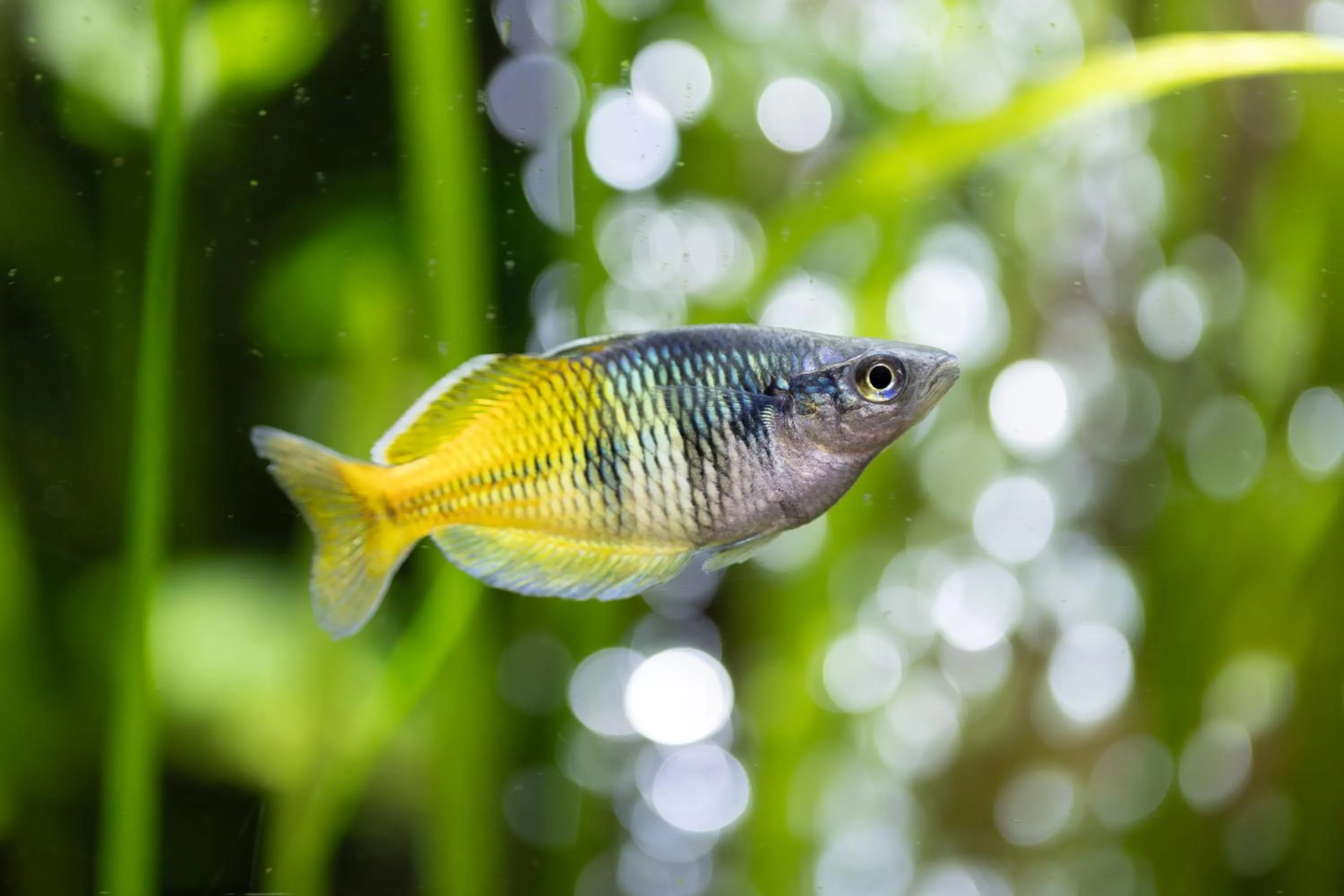 Decorative detail in The Resolution Hotel
