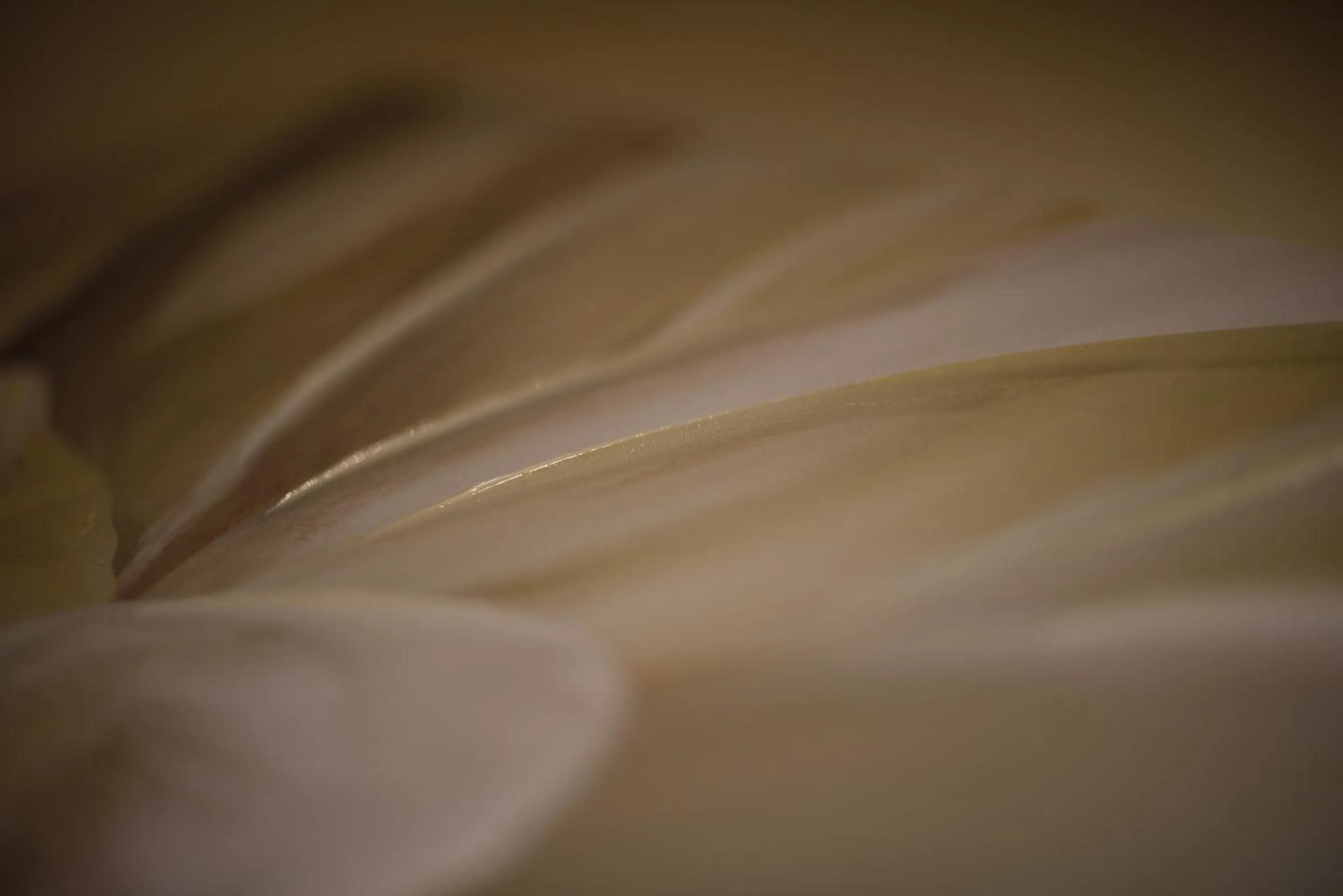 Other in New Inn Hotel