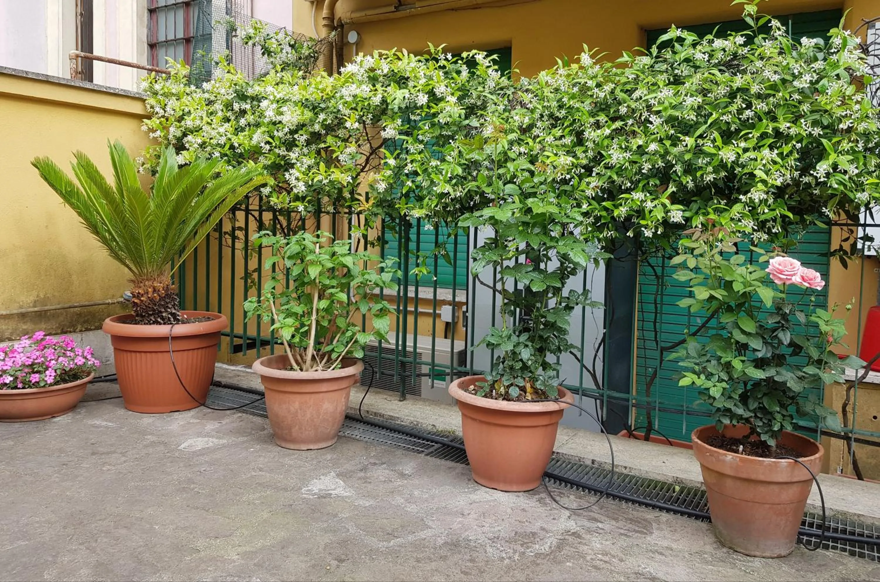 Patio in Jubilee 3 Luxury apartment in Rome Vatican