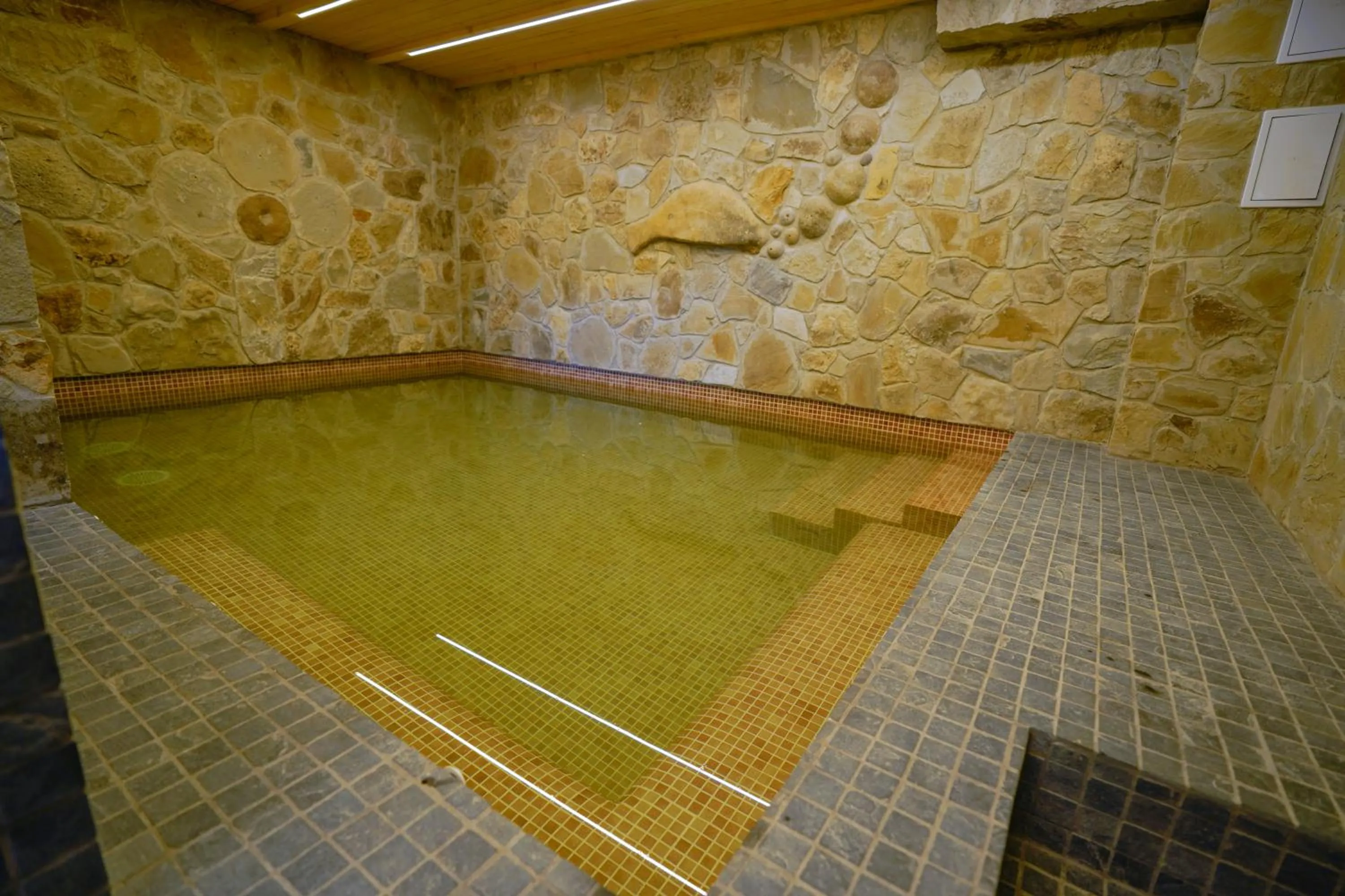 Spa and wellness centre/facilities in Felix Pension