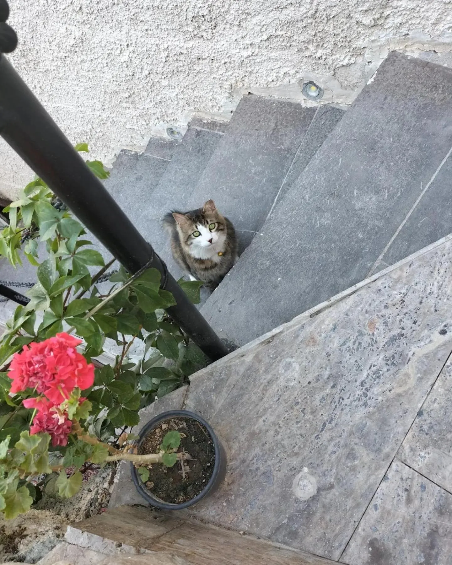 Property building in Cappadocia Cave House