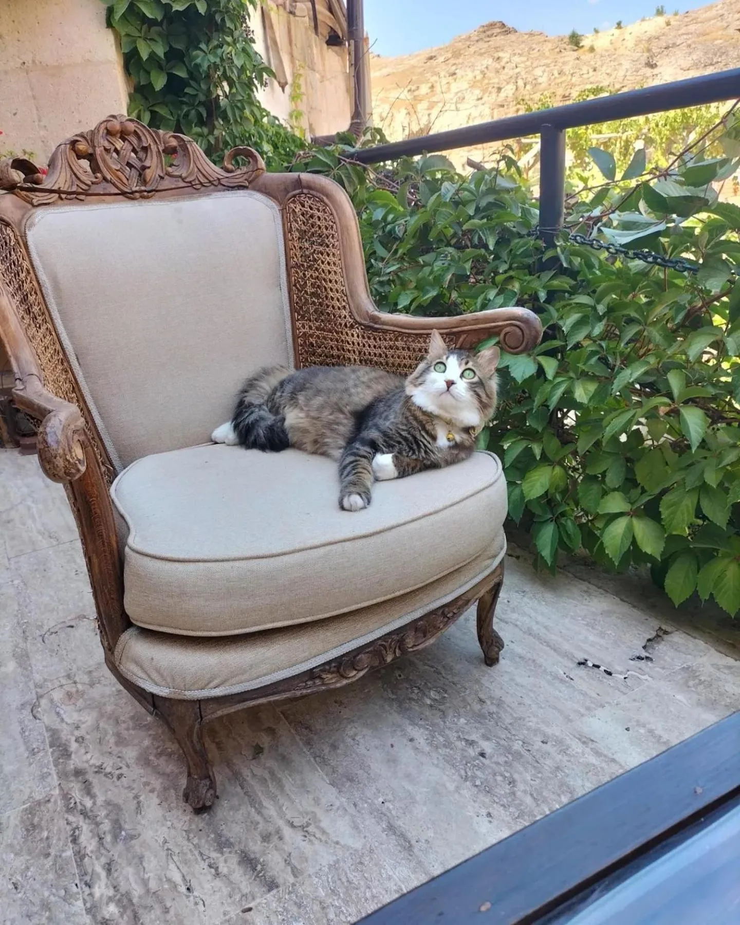 Balcony/Terrace in Cappadocia Cave House