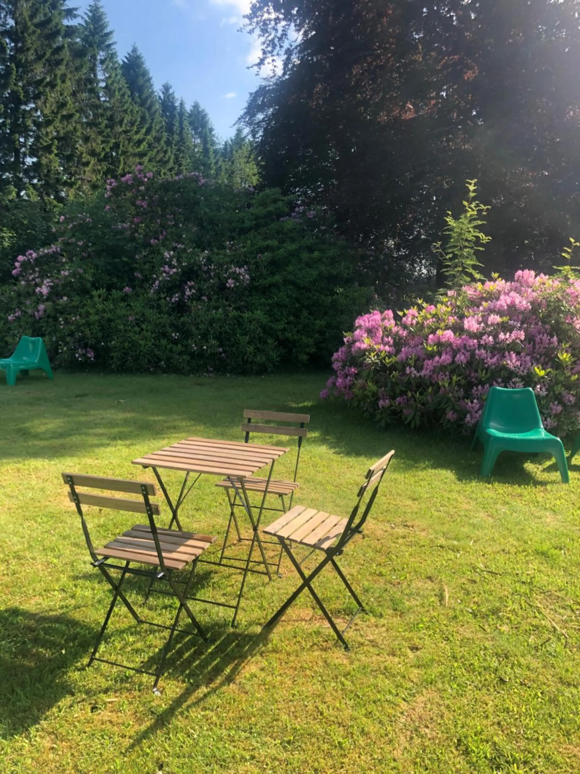 Garden in Berghotel HARZ