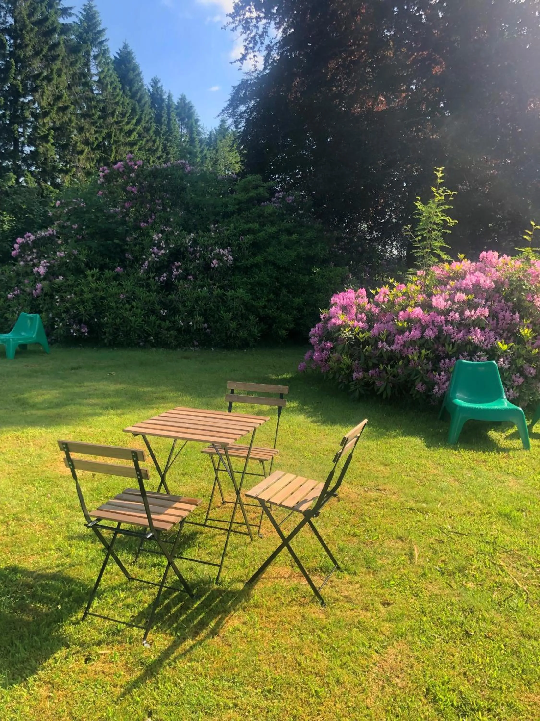 Garden in Berghotel HARZ