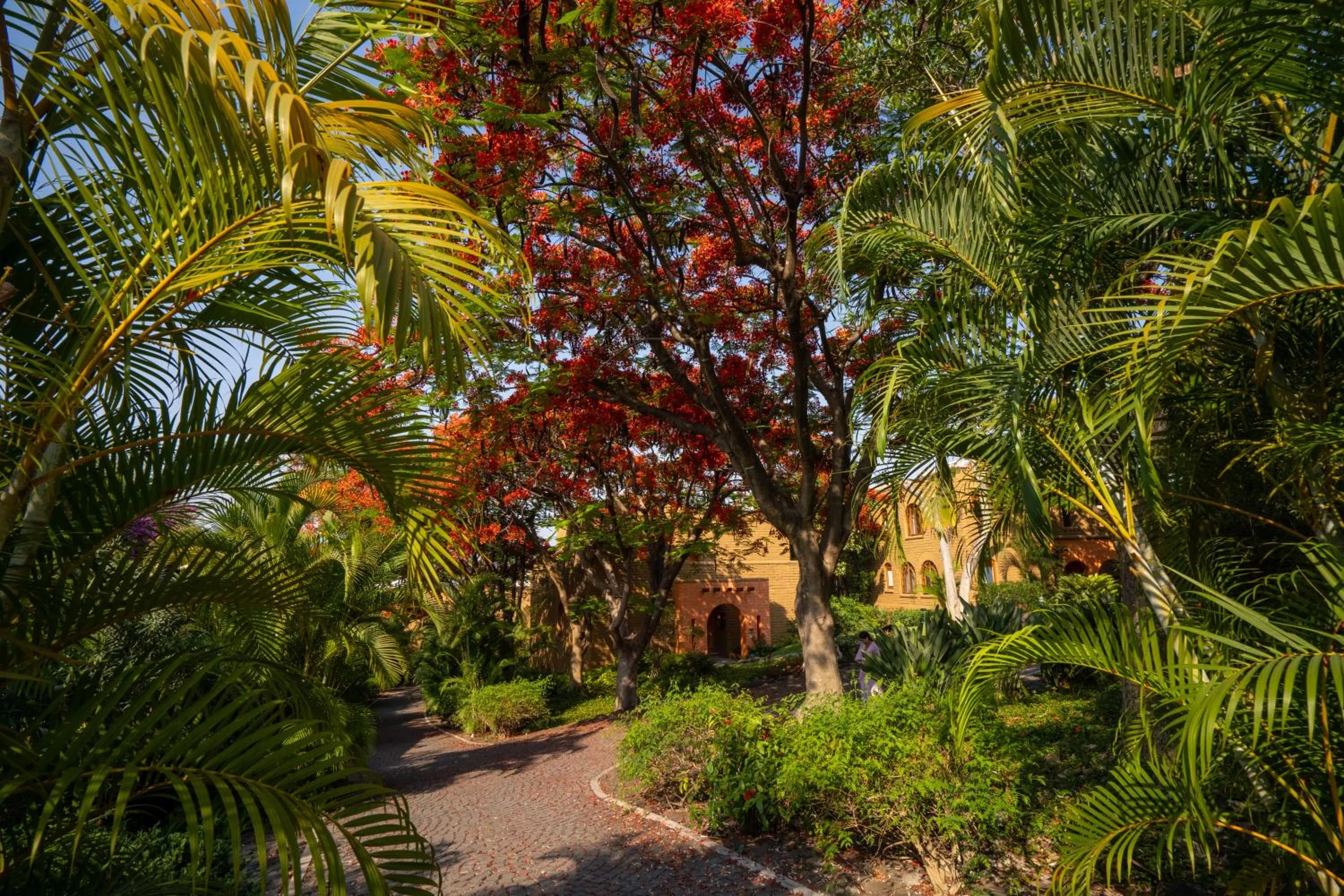 Spring in Mision del Sol Resort & Spa Adults Only