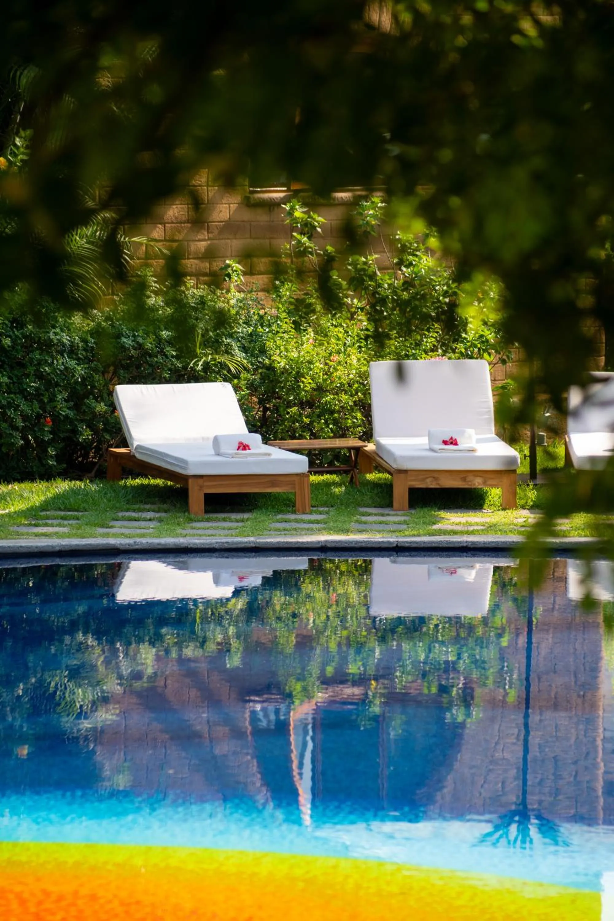 Natural landscape in Mision del Sol Resort & Spa Adults Only