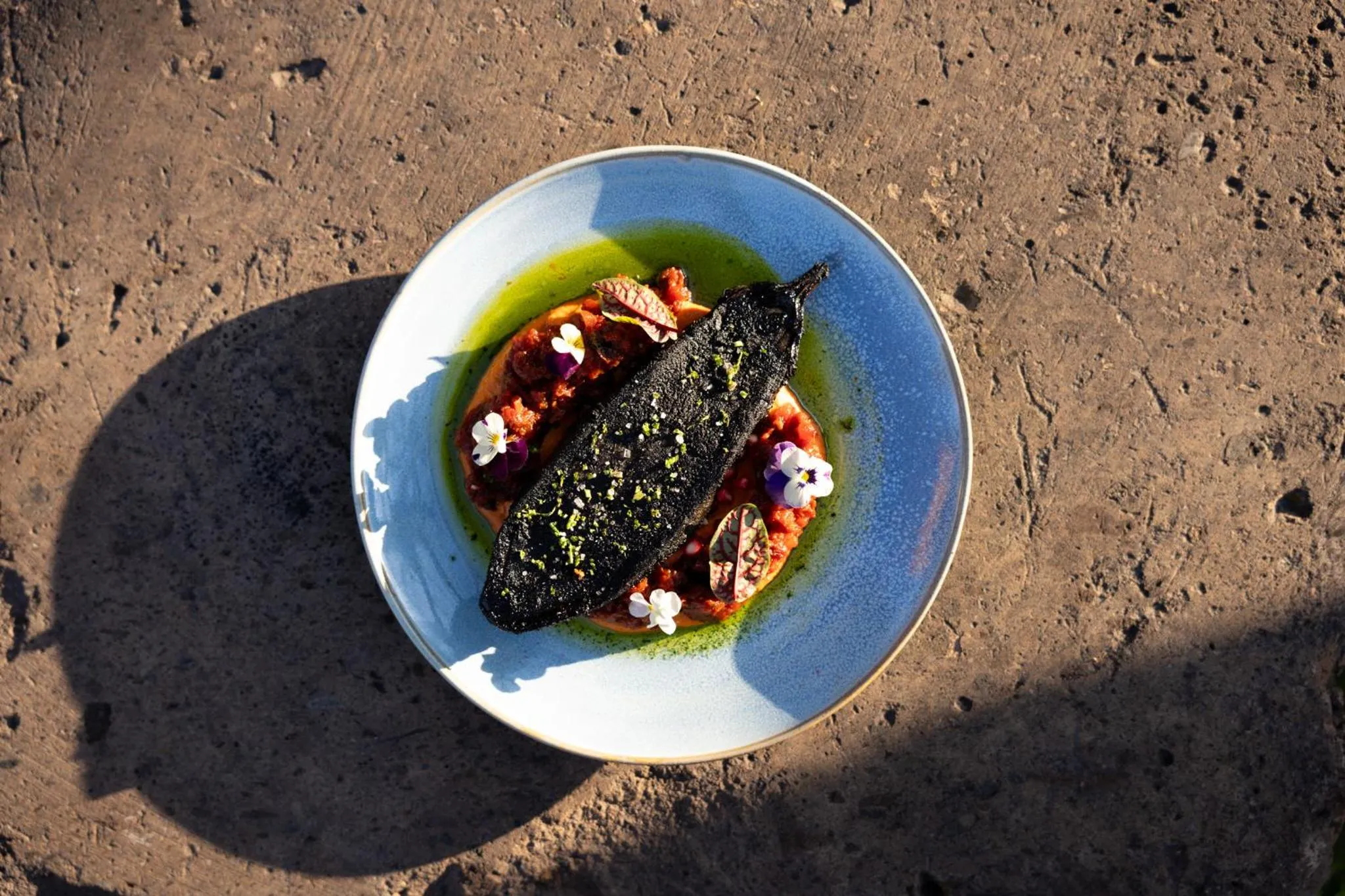 Food and drinks in Mision del Sol Resort & Spa Adults Only