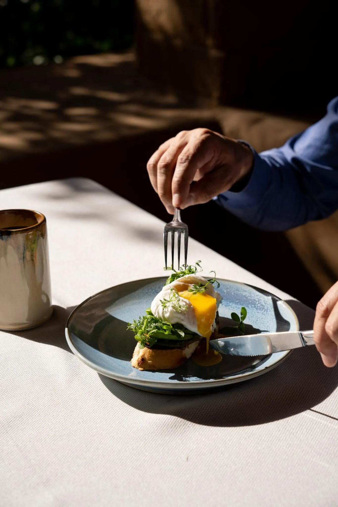 Food and drinks in Mision del Sol Resort & Spa Adults Only