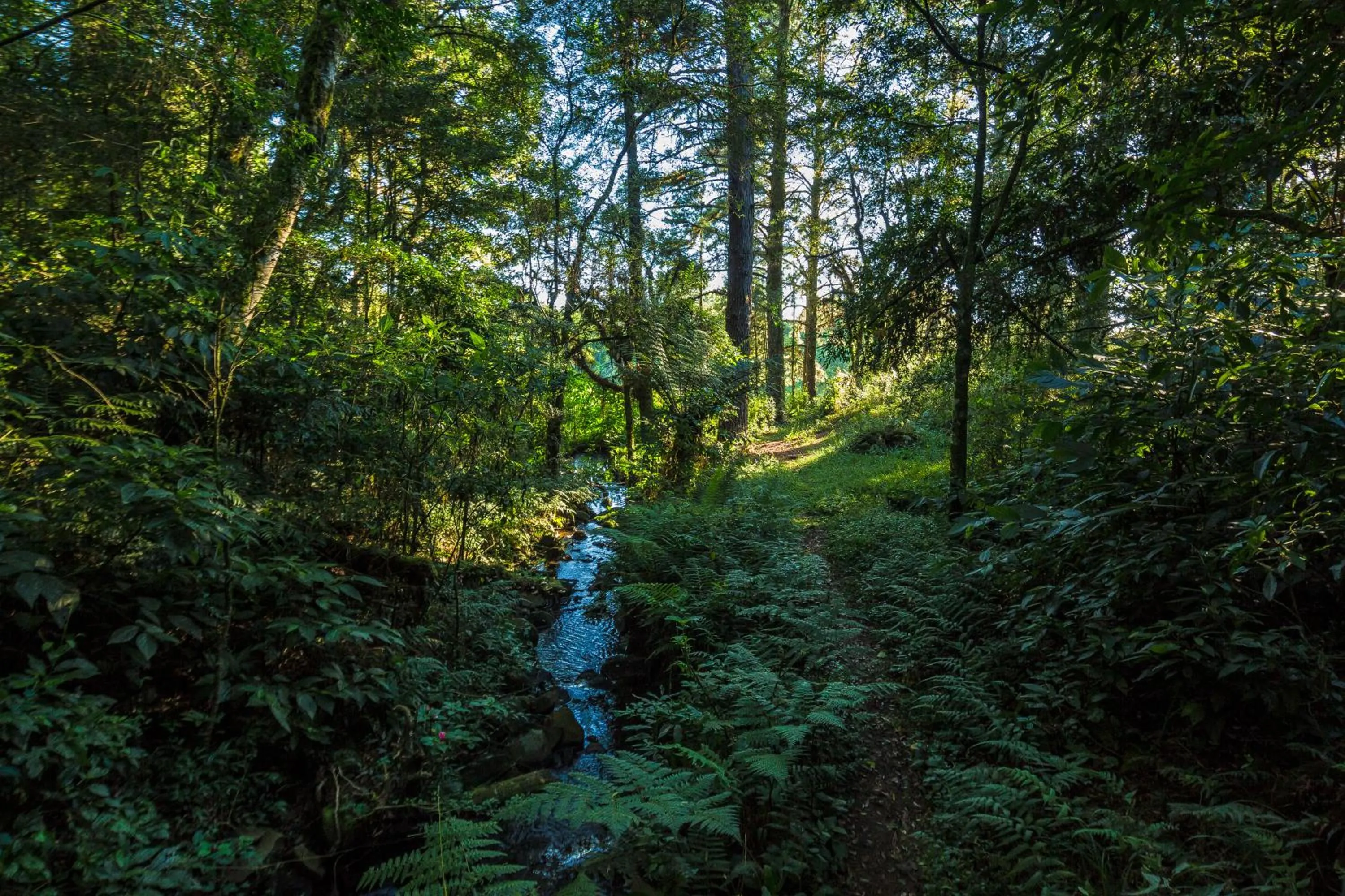 Hiking in Grande Hotel Canela