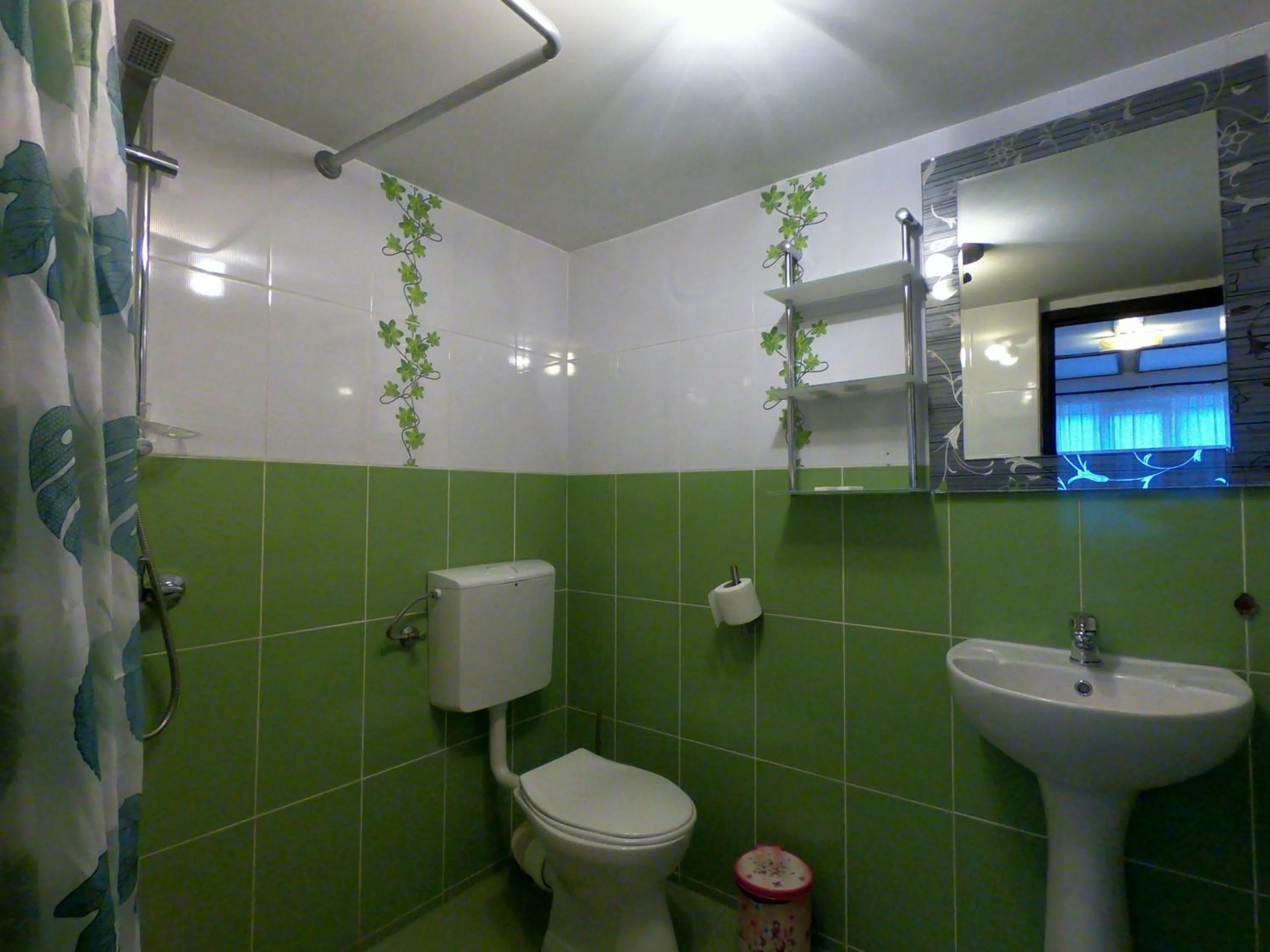 Toilet in Complex Turistic Luminita