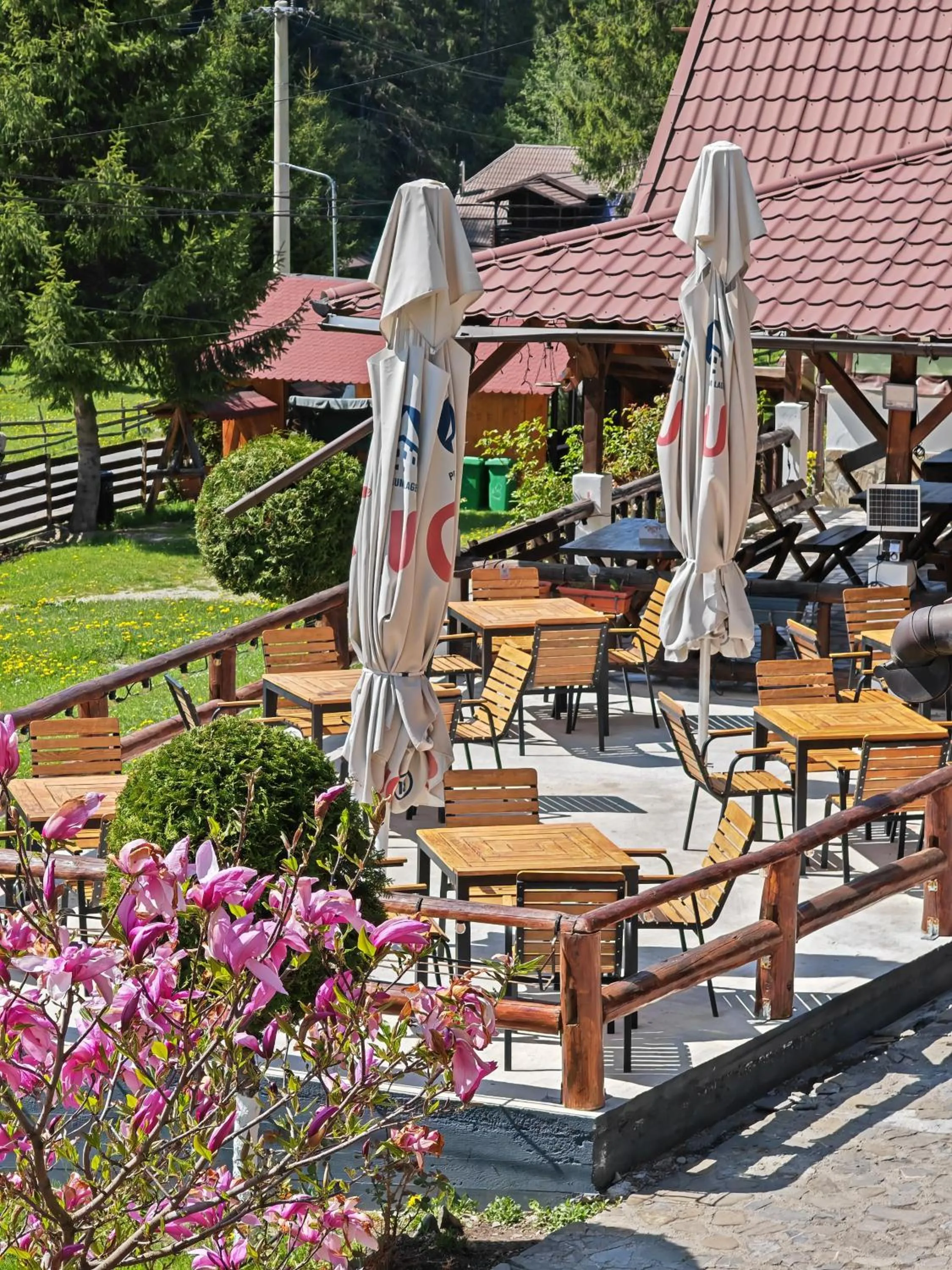 Restaurant/places to eat in Complex Turistic Luminita
