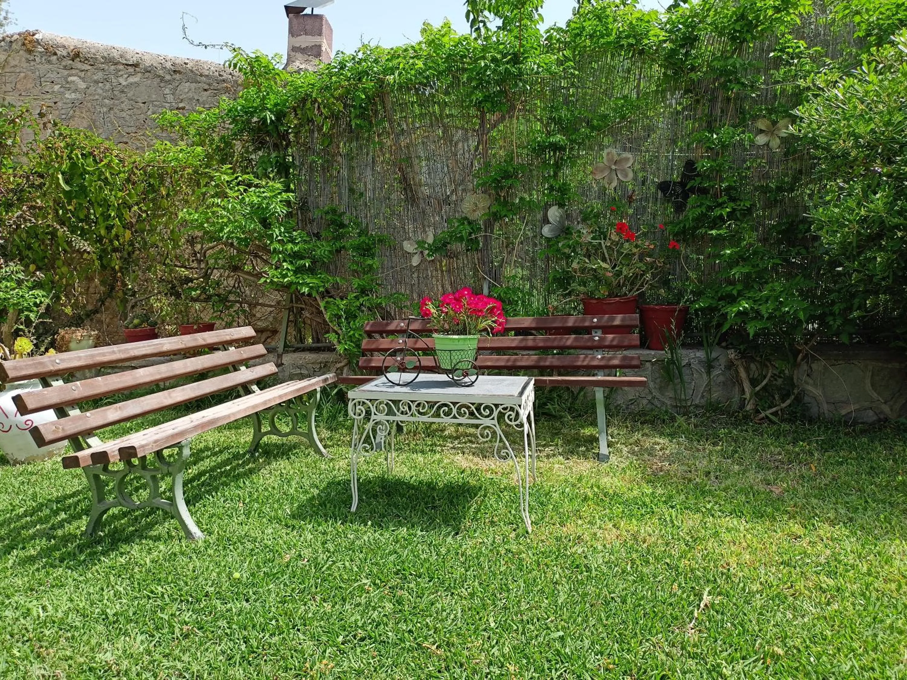 Garden in Finikas Rooms