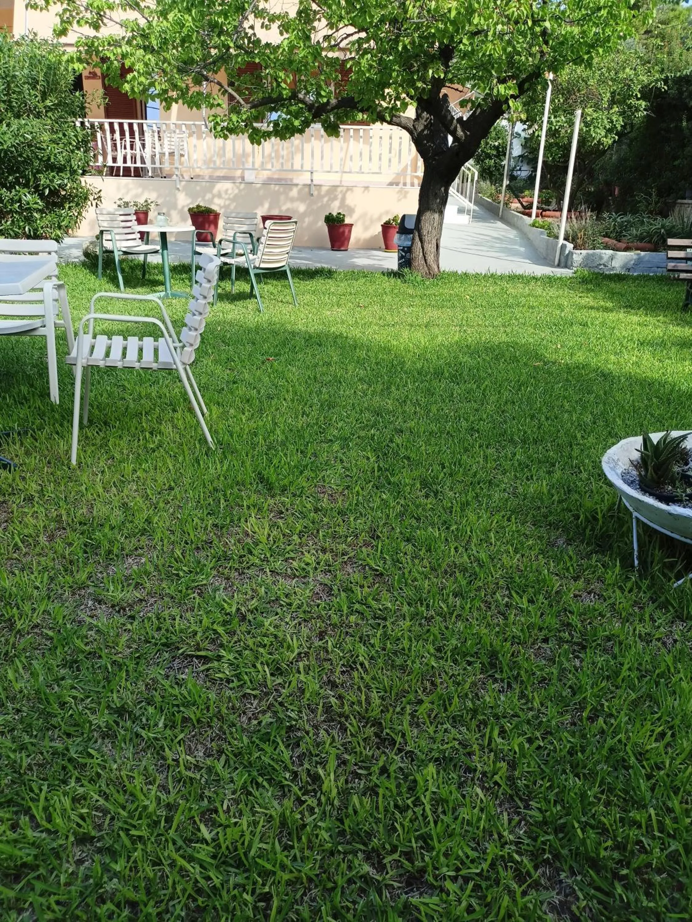 Garden in Finikas Rooms