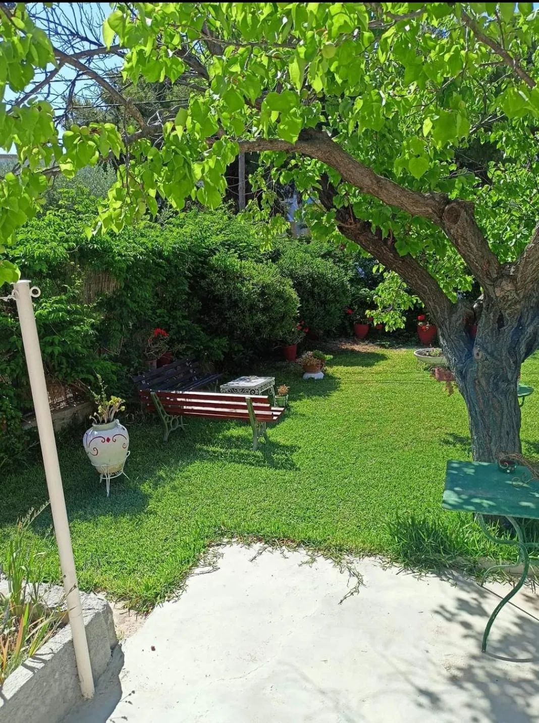 Garden in Finikas Rooms