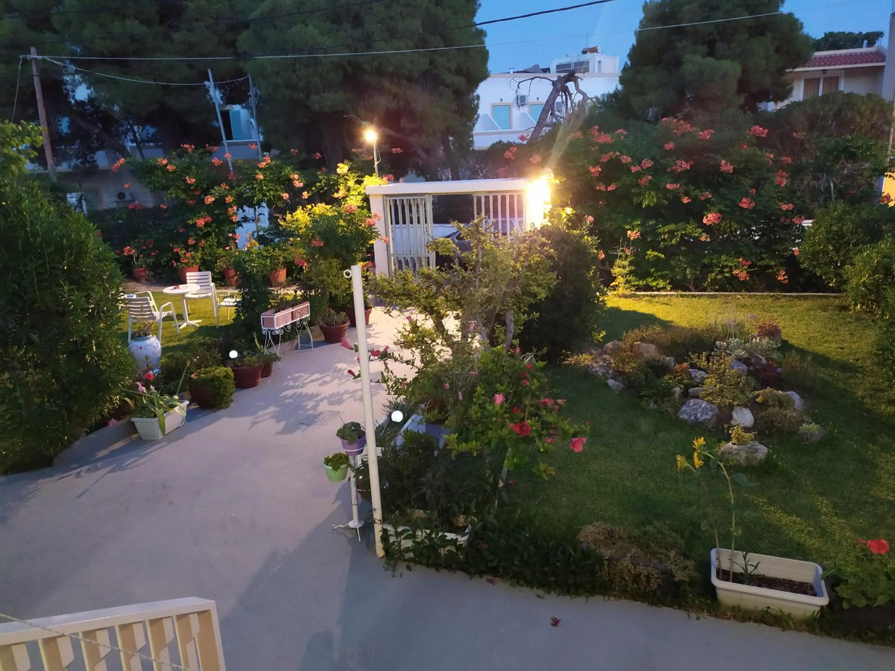 Garden view in Finikas Rooms
