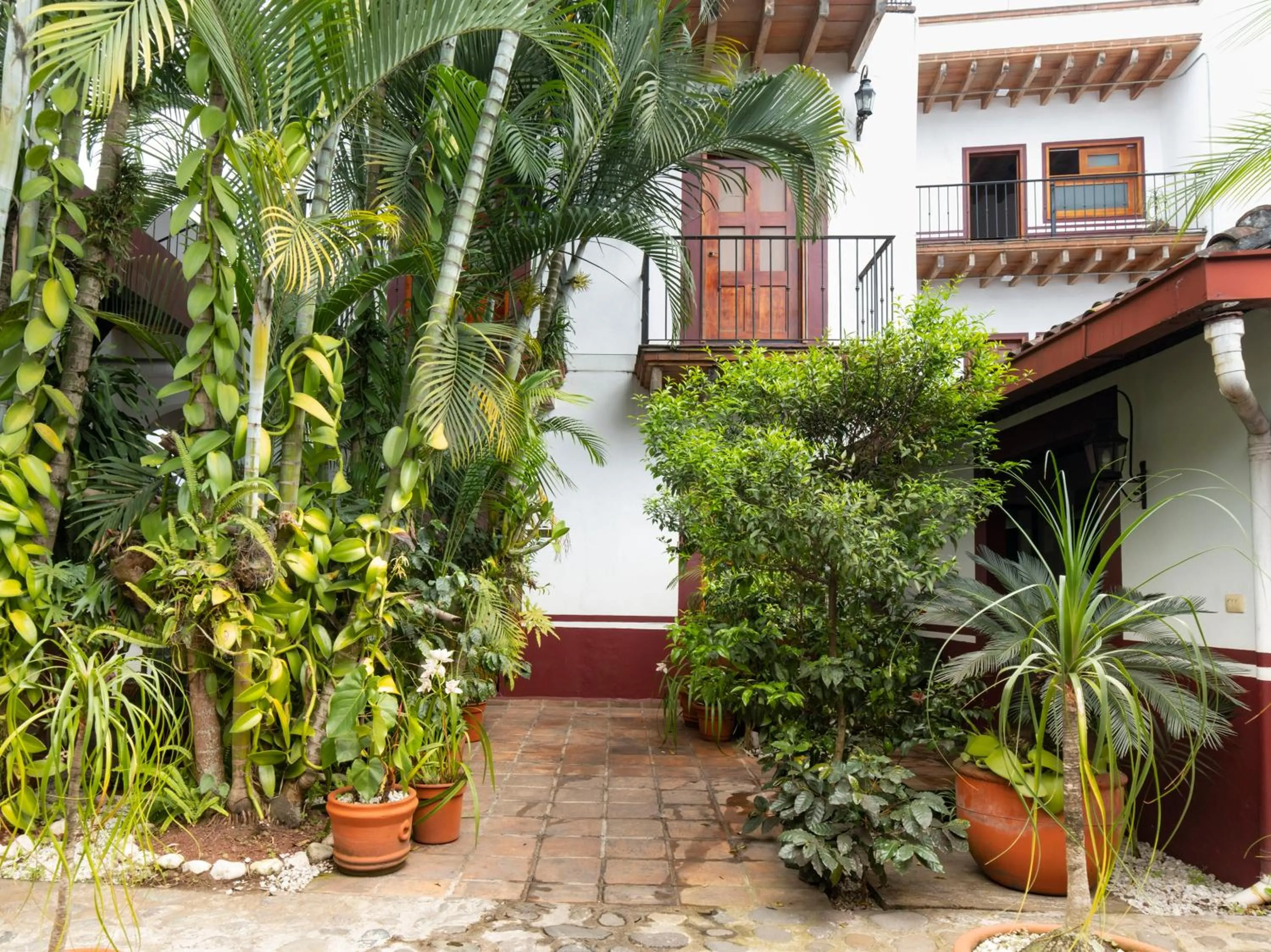 Balcony/Terrace in Hotel Casa Real Del Café