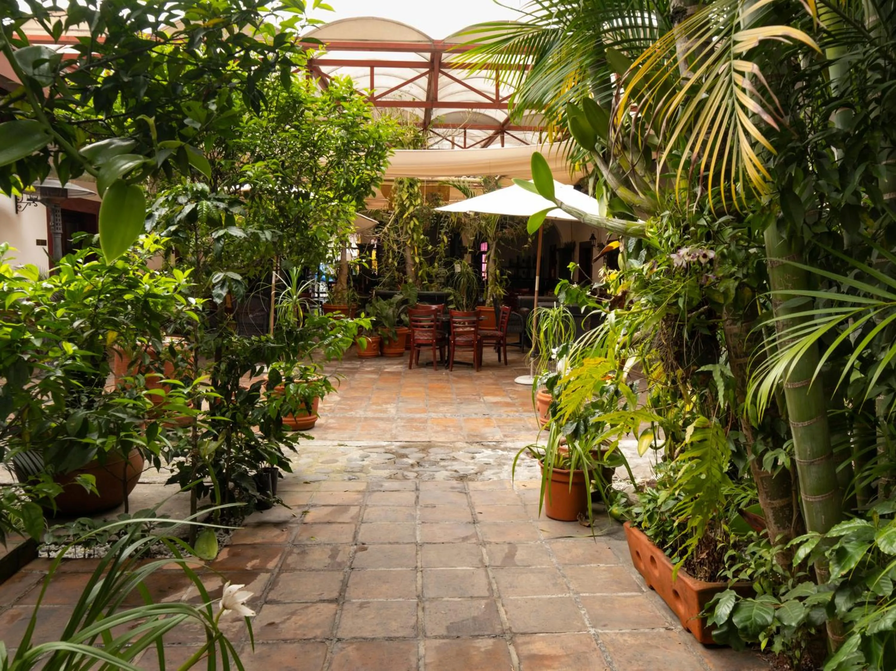 Balcony/Terrace in Hotel Casa Real Del Café