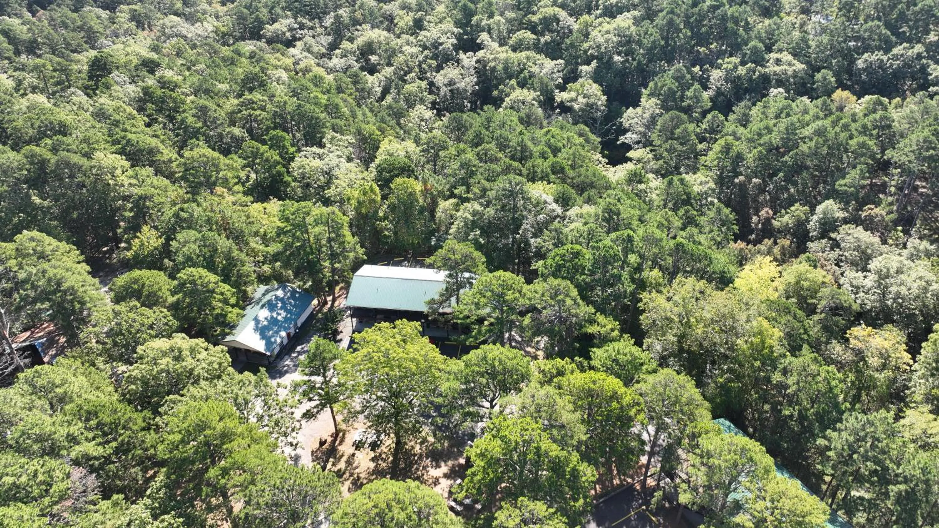 Spring in Traveler's Inn