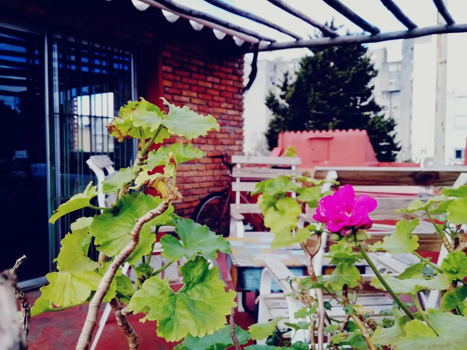 Casa del Mar