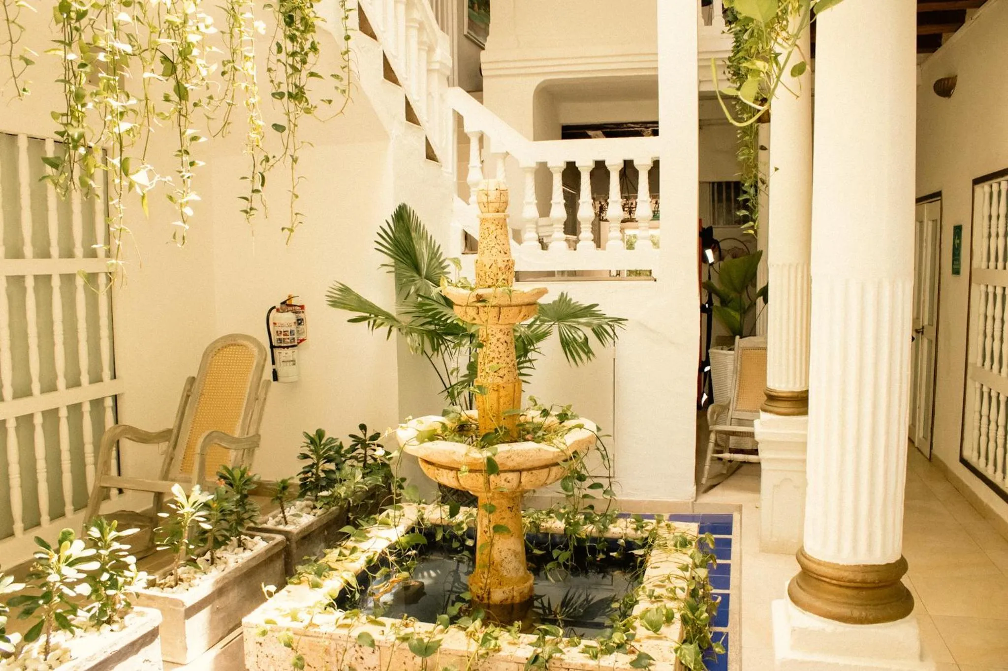 Garden in Hotel AT THE PARK