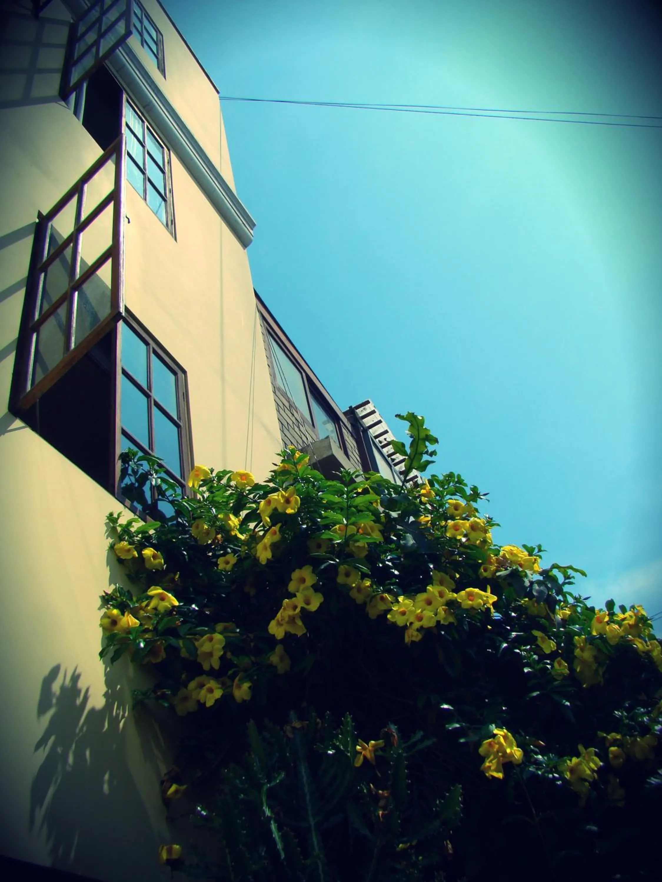 Facade/entrance in Casa de Baraybar