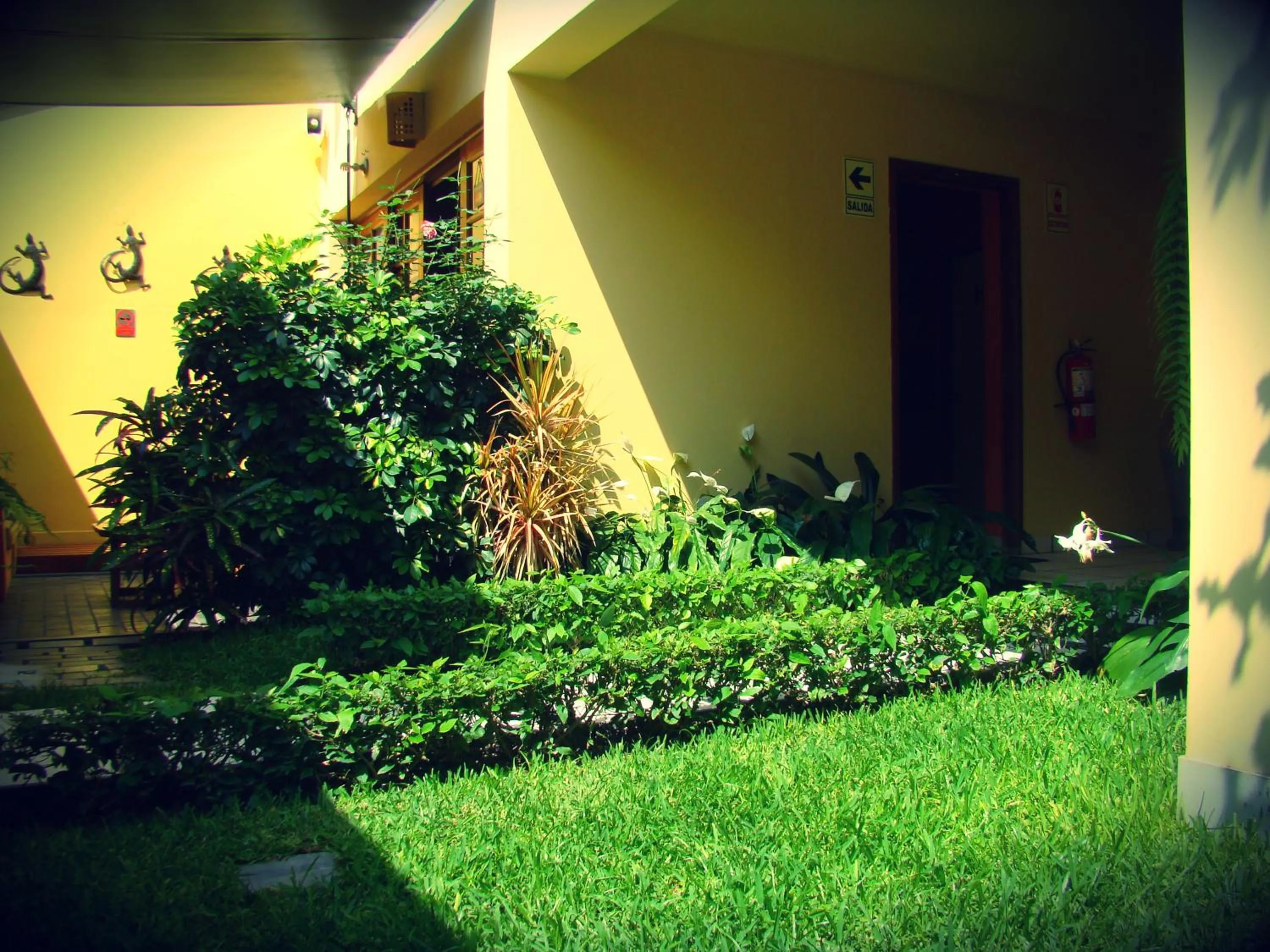 Garden in Casa de Baraybar