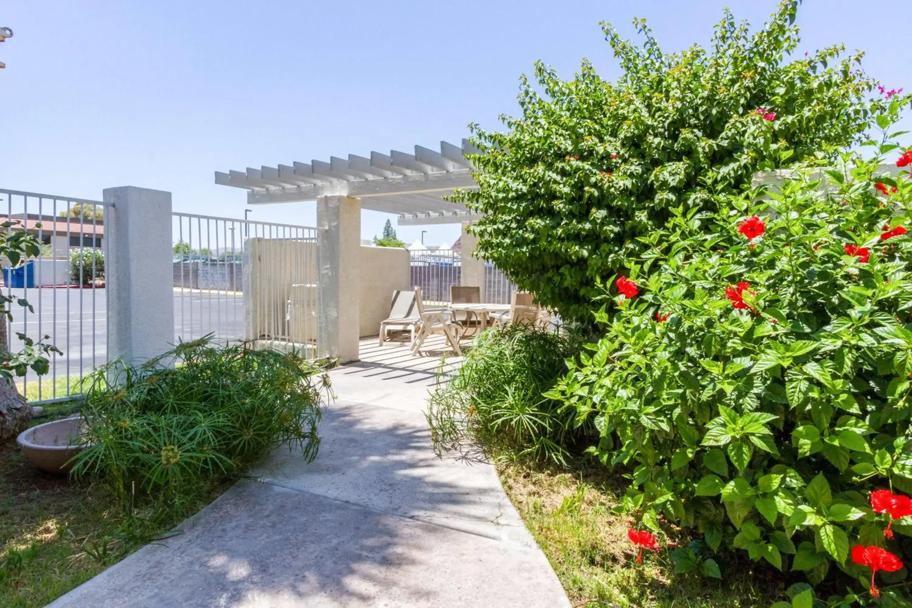 Day, Patio/Outdoor Area in Motel 6 Tempe, AZ Phoenix Airport Priest Dr