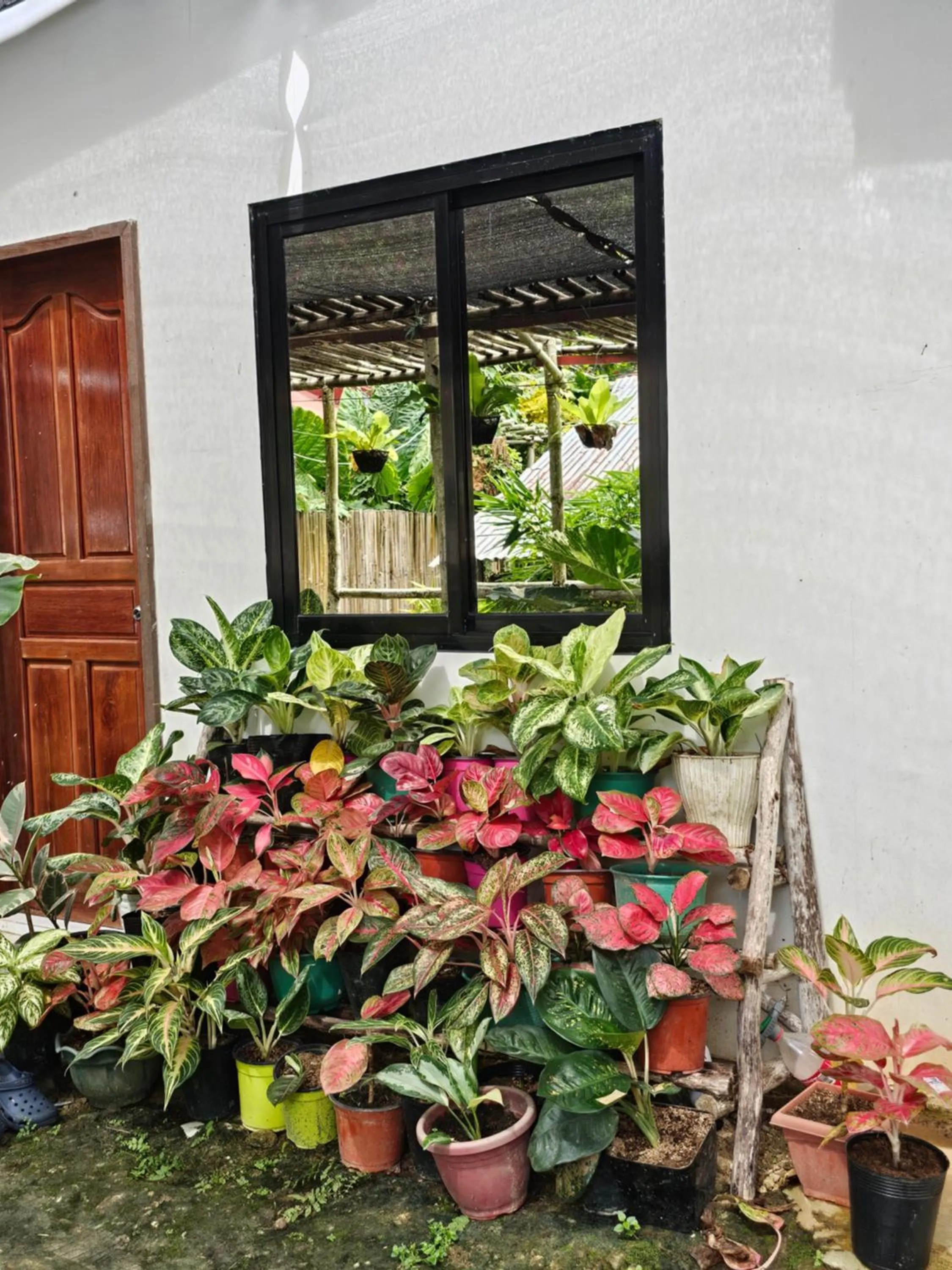 Garden in Mina Grande Beach Cottages