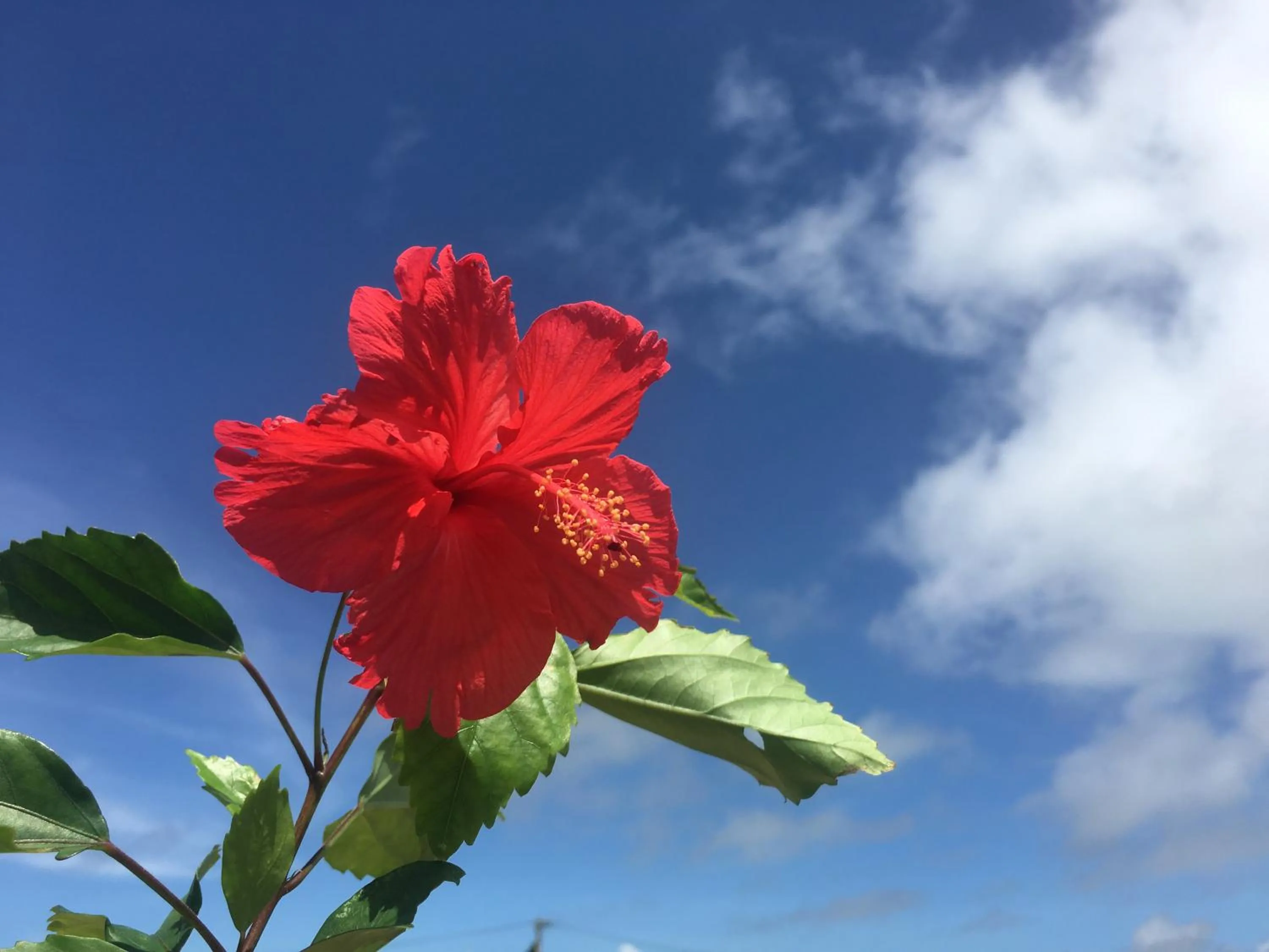Natural landscape in Minnkayado intoparitosura