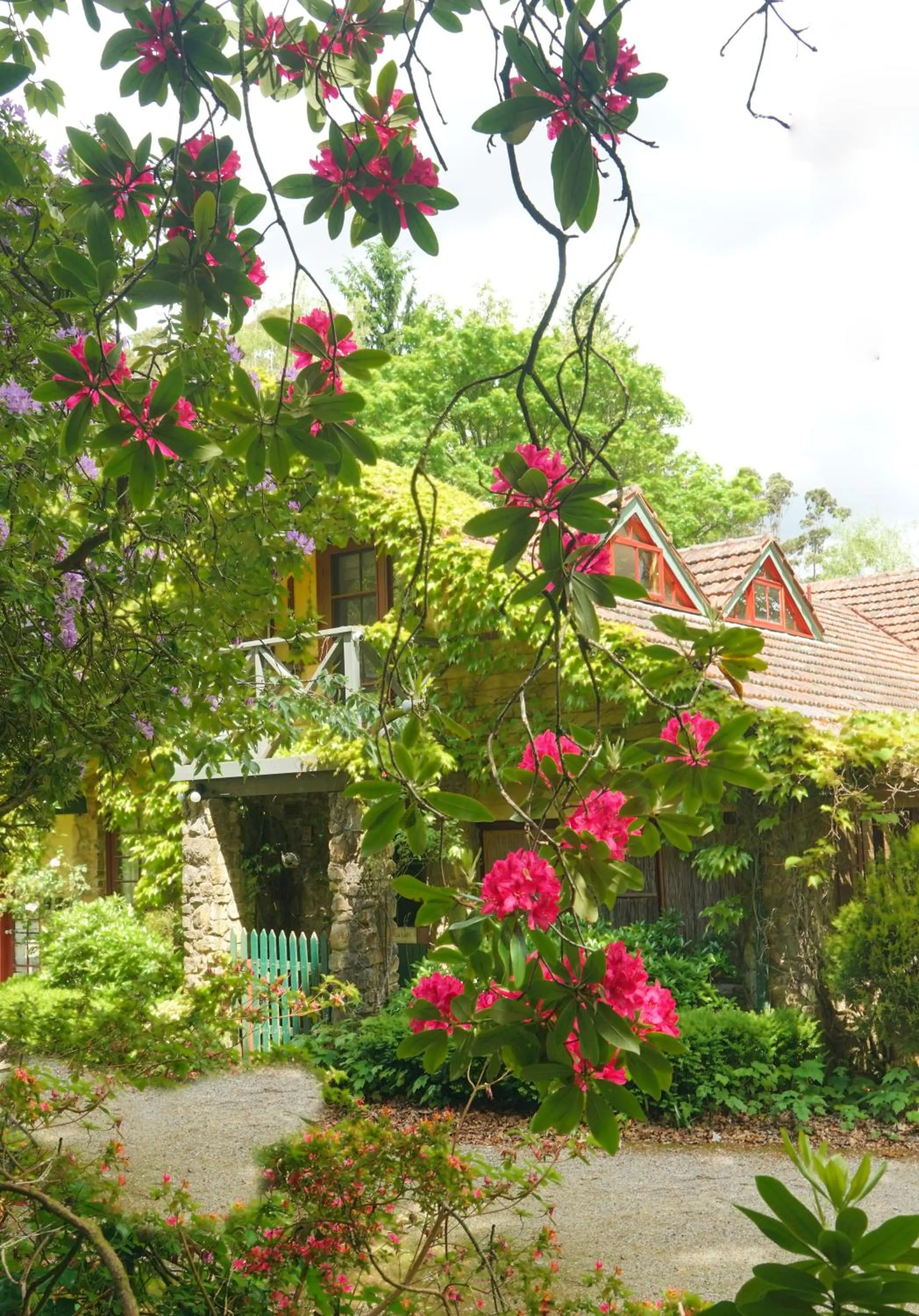 Arnica Views Summit Retreat