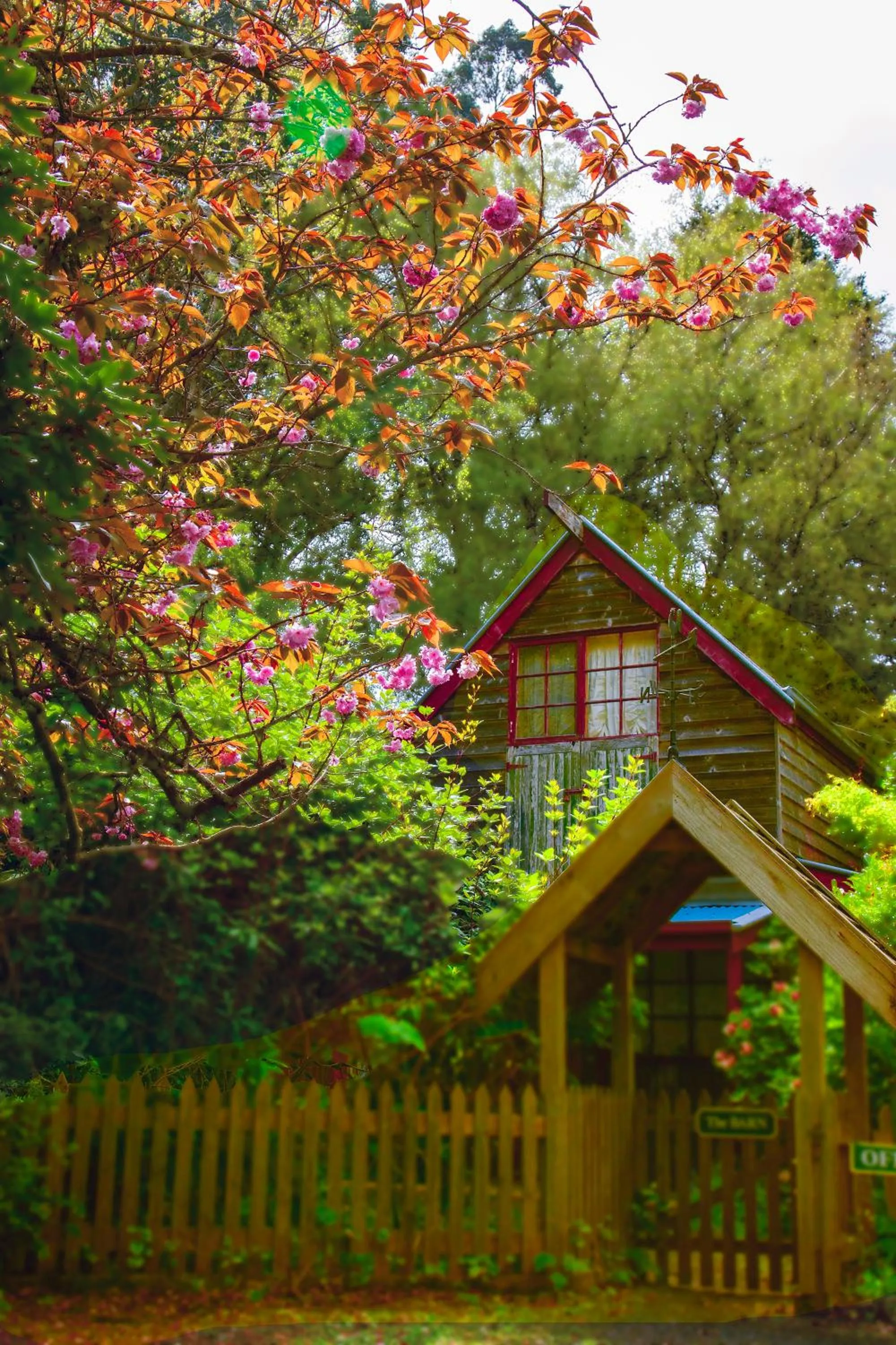 Arnica Views Summit Retreat