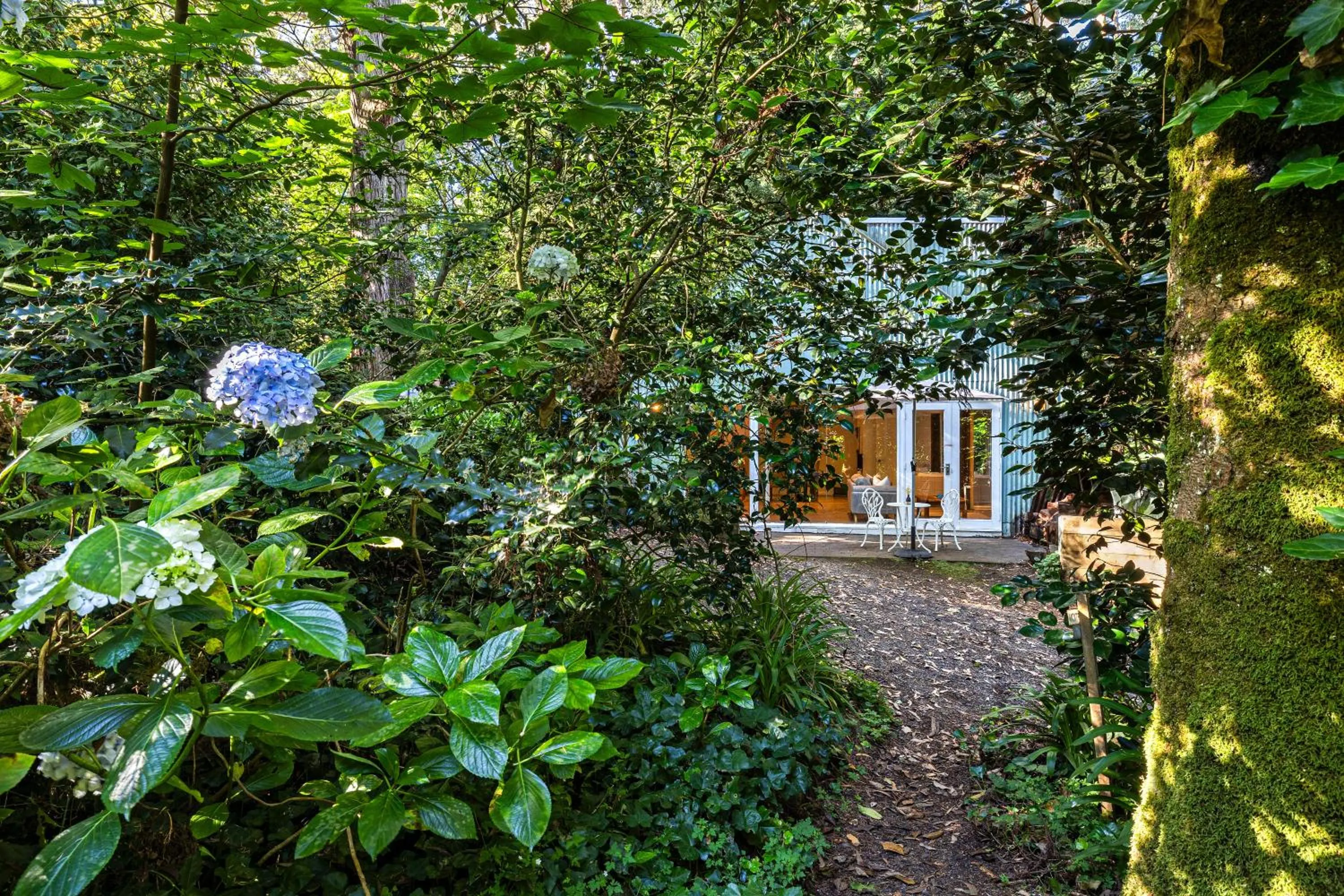 Arnica Views Summit Retreat