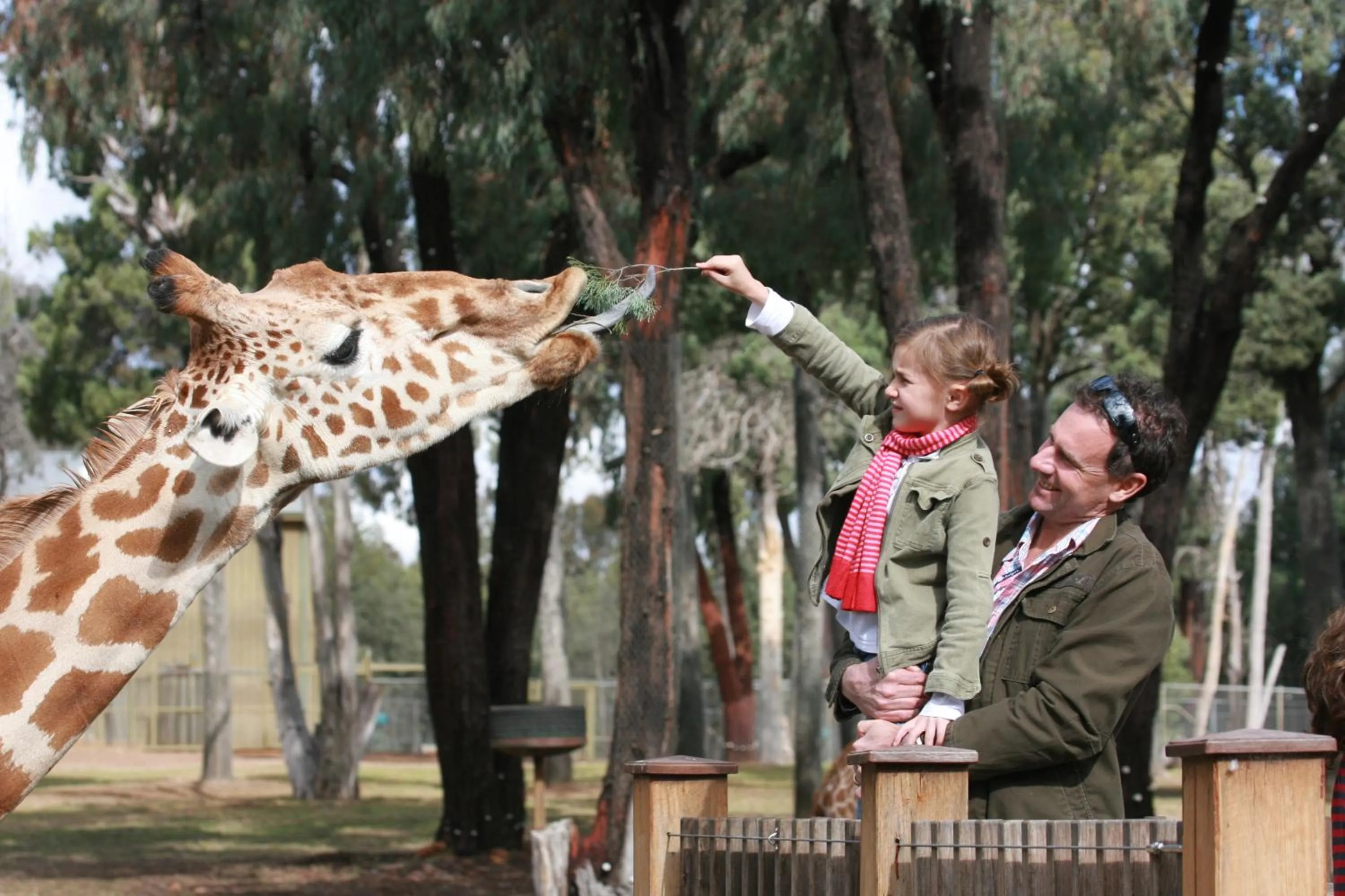 Area and facilities in The Palms Dubbo