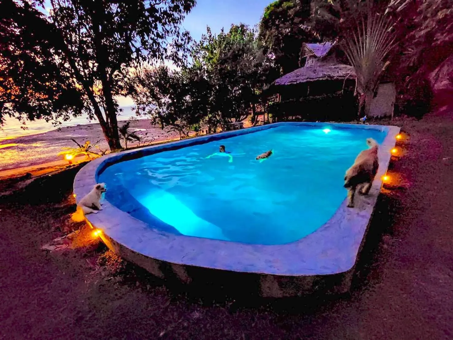 Swimming pool in Banyan Bay Villas