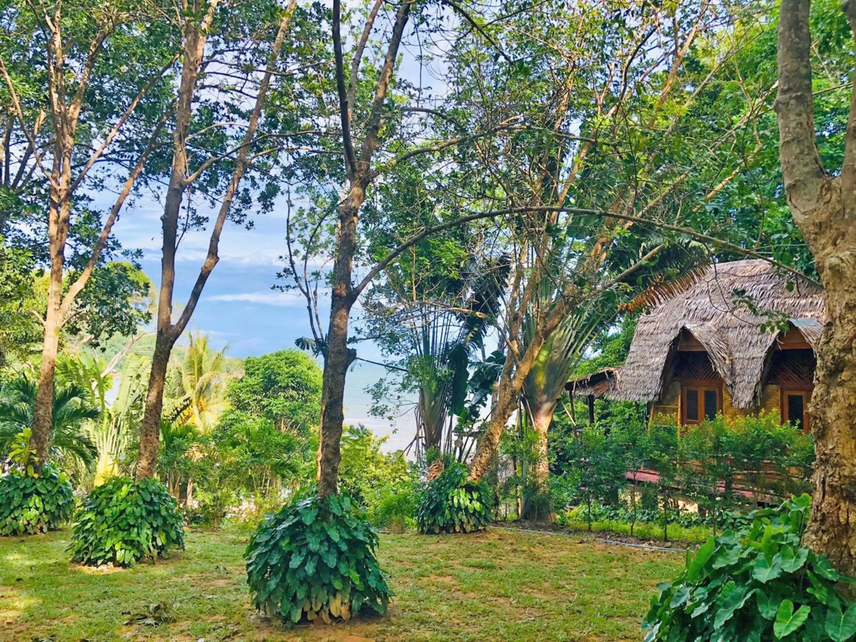 Garden view in Banyan Bay Villas Garden view in Banyan Bay Villas