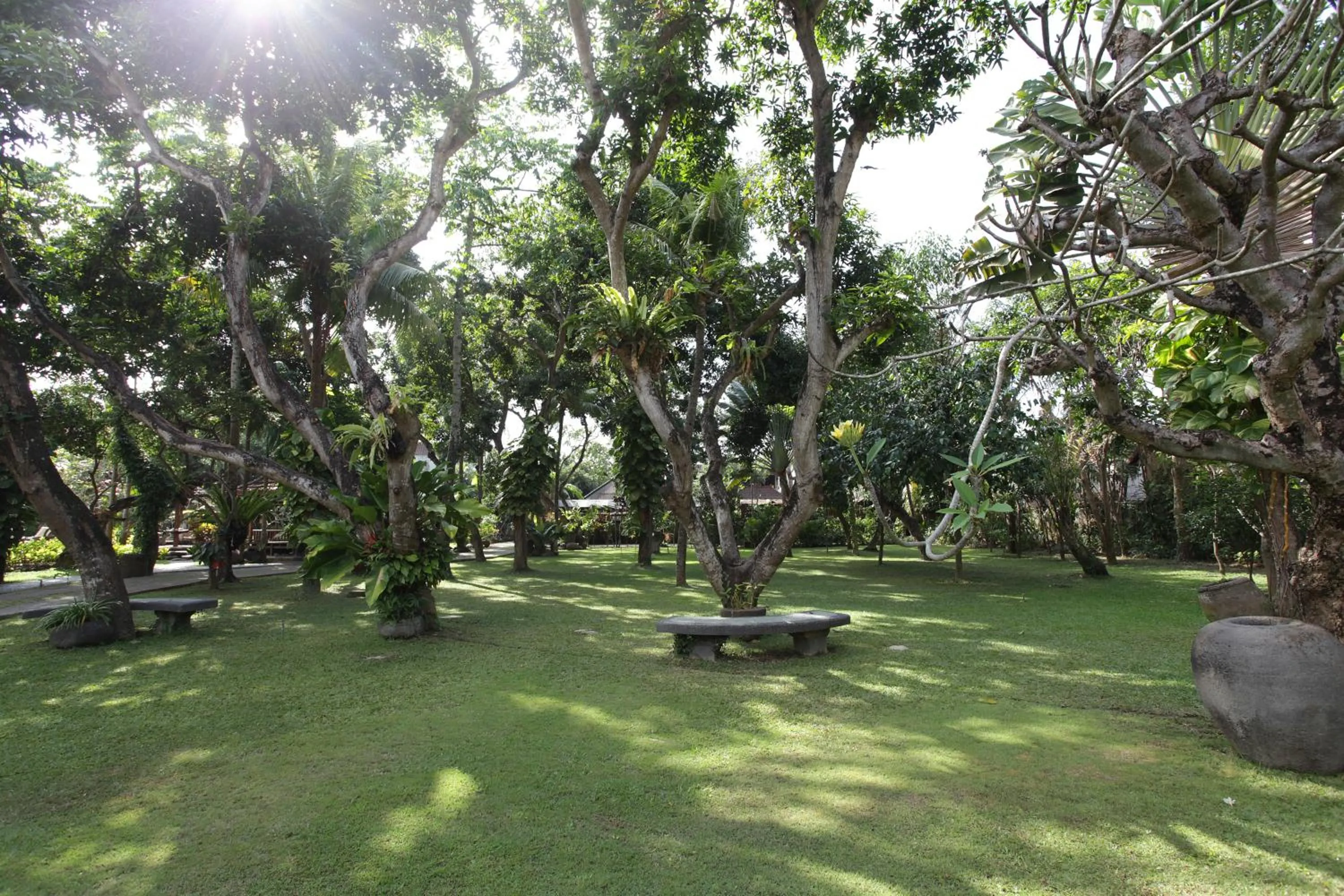 Garden in Matahari Bungalow