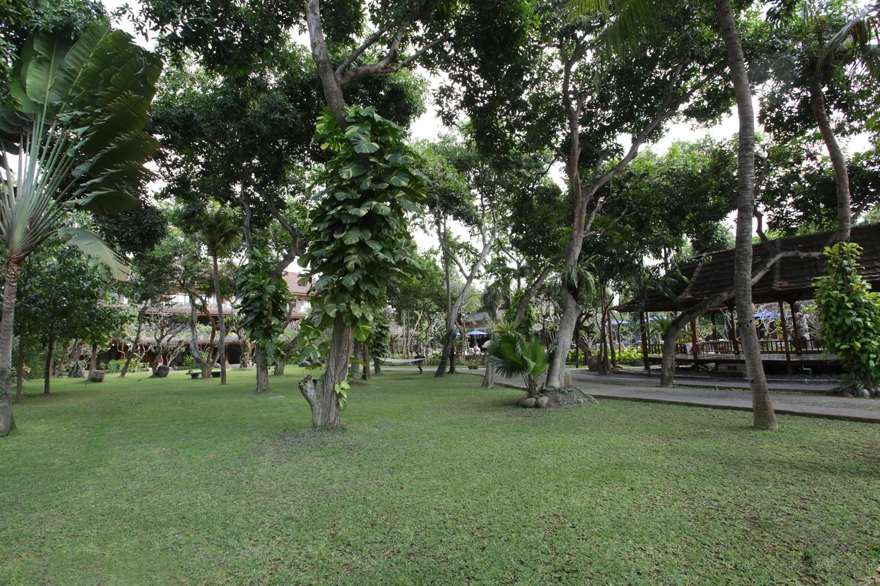 Garden in Matahari Bungalow