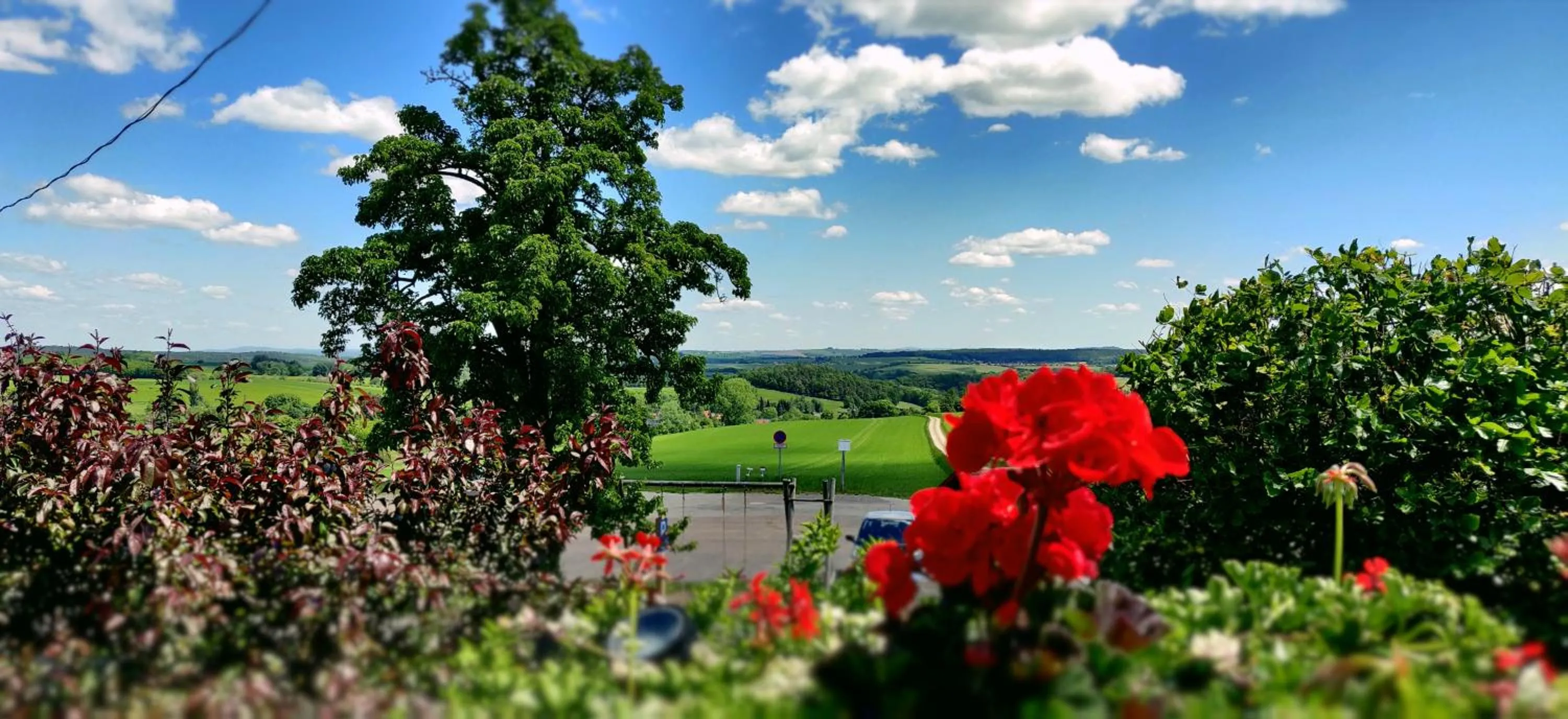 View (from property/room) in Hotel Neue Höhe