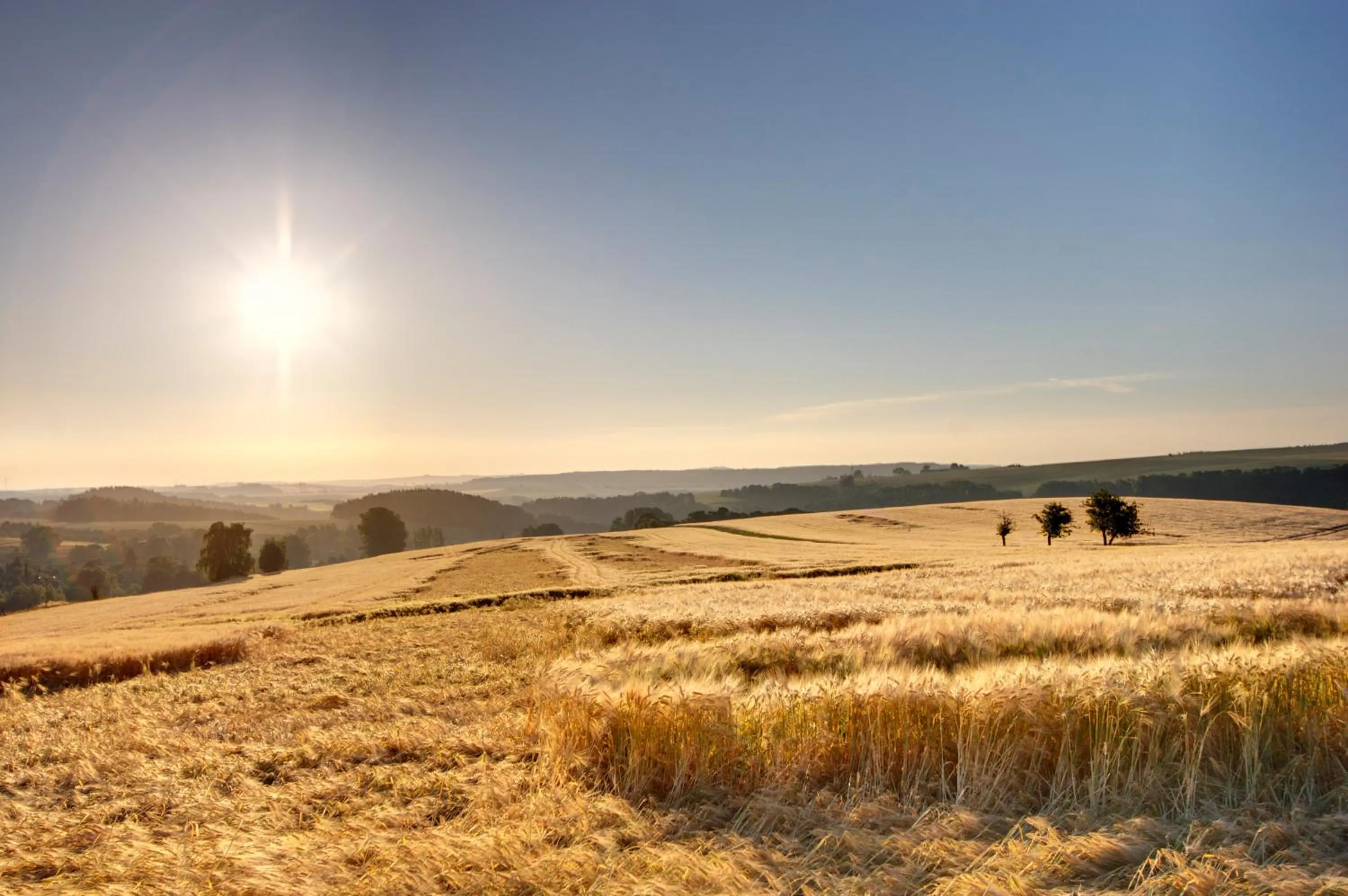 Natural landscape in Hotel Neue Höhe