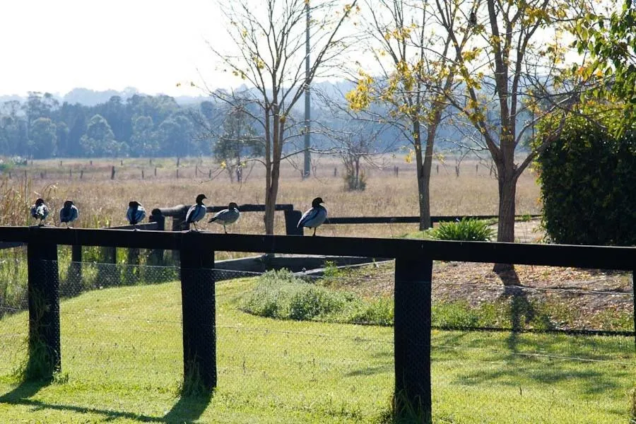 Facade/entrance in Potters Apartments