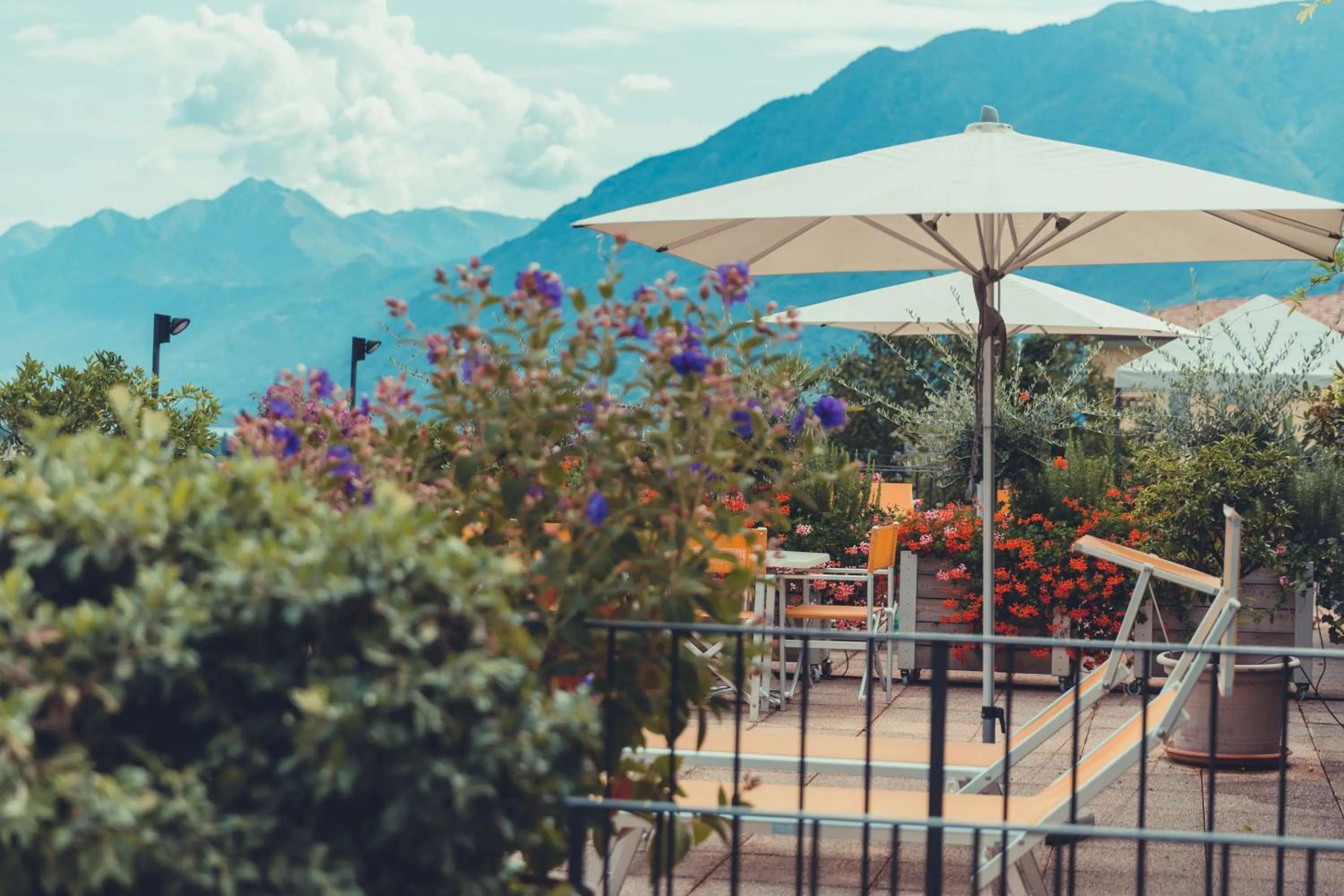 Natural landscape in Hotel Tobler