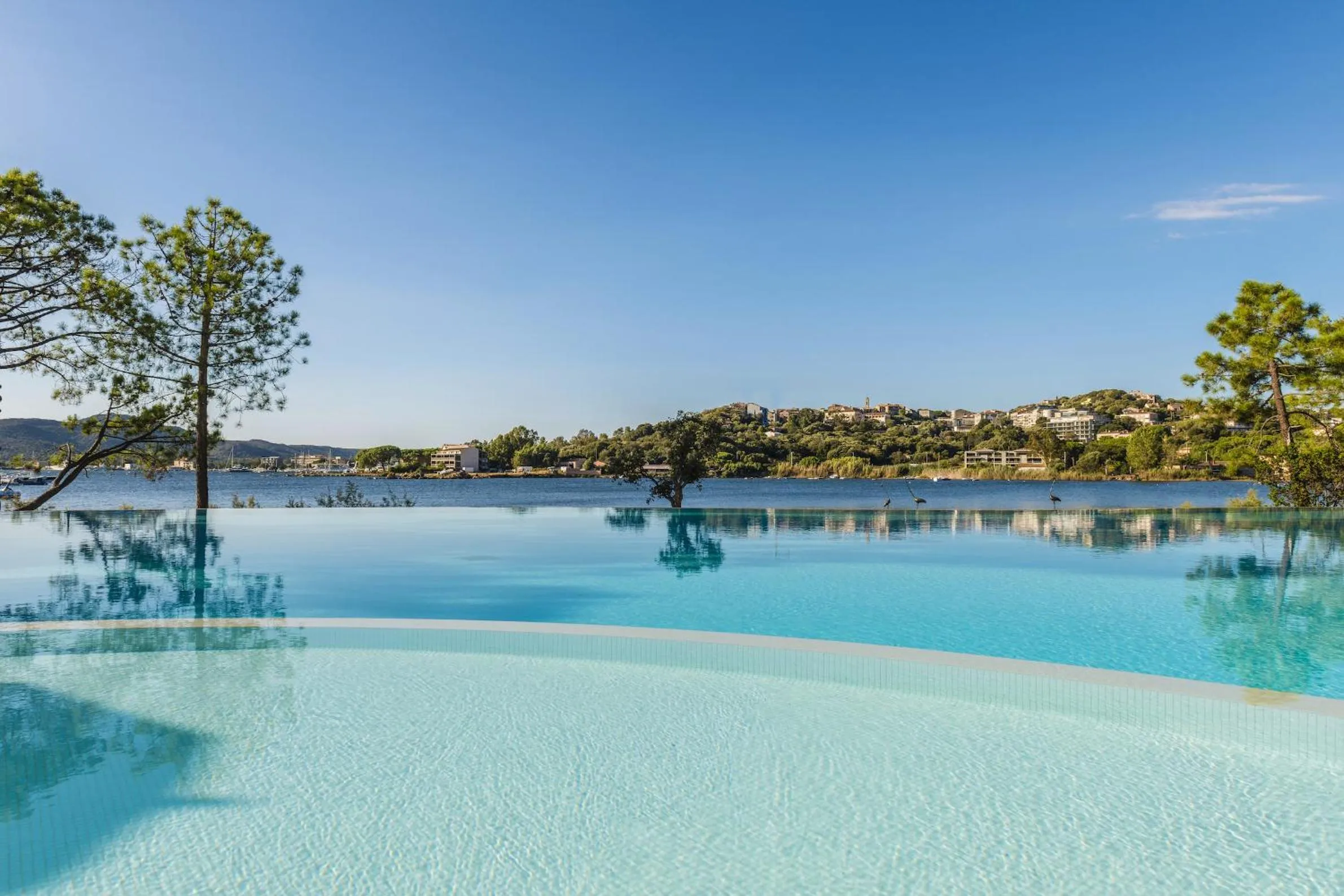 Swimming pool in Hotel Don Cesar