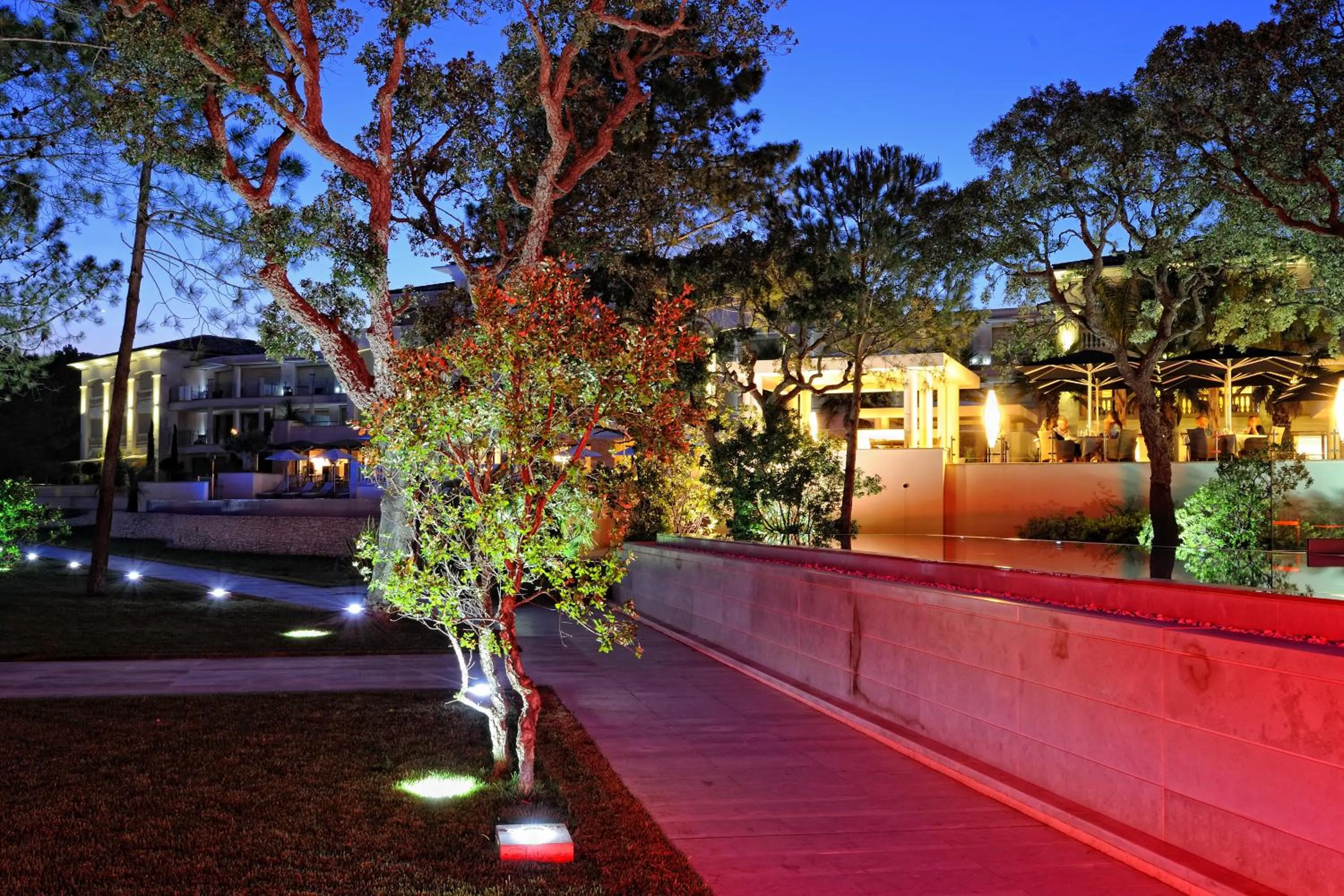 Night in Hotel Don Cesar