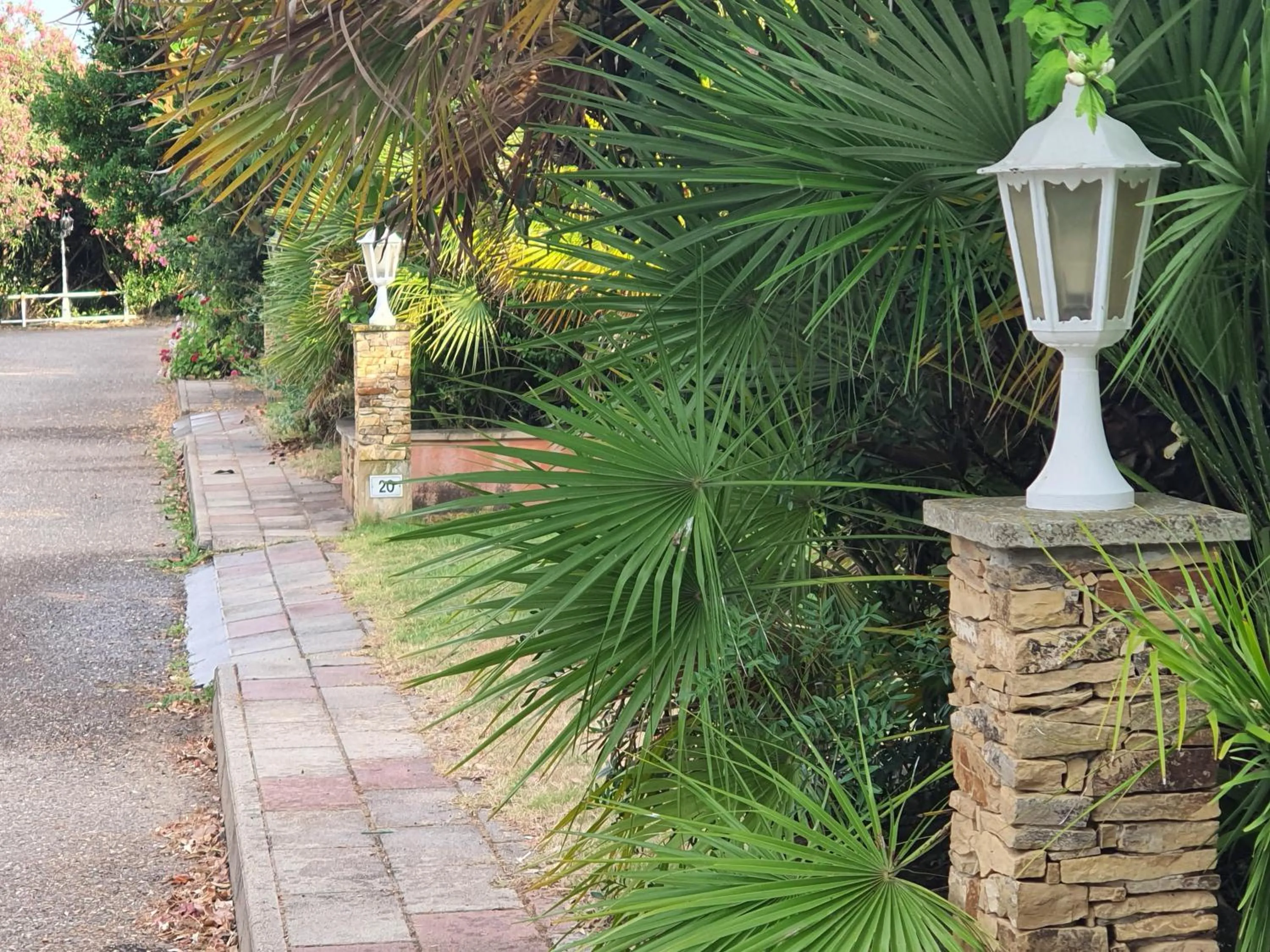 Garden in Hotel Garden