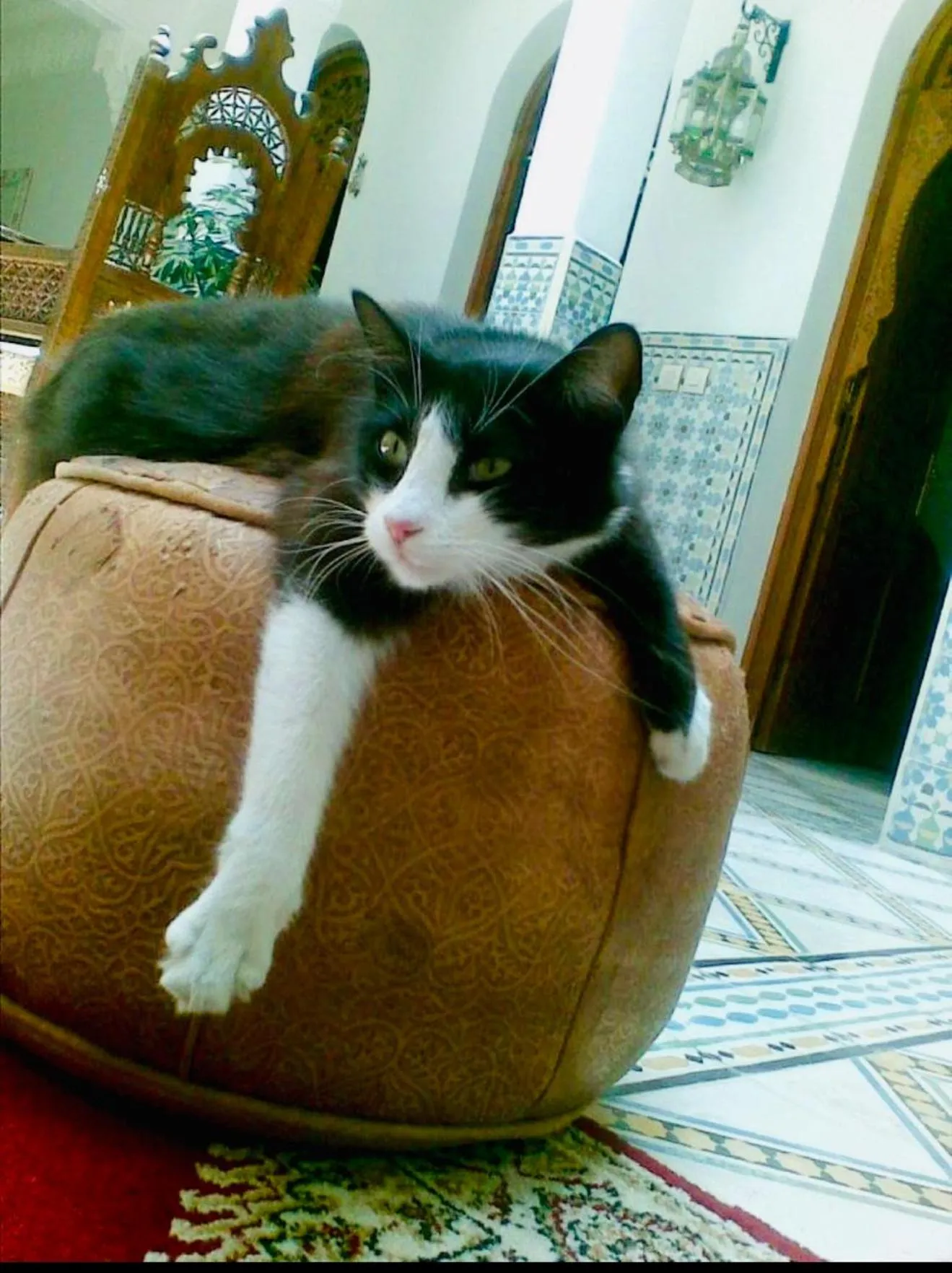 Property building in Riad Mouna